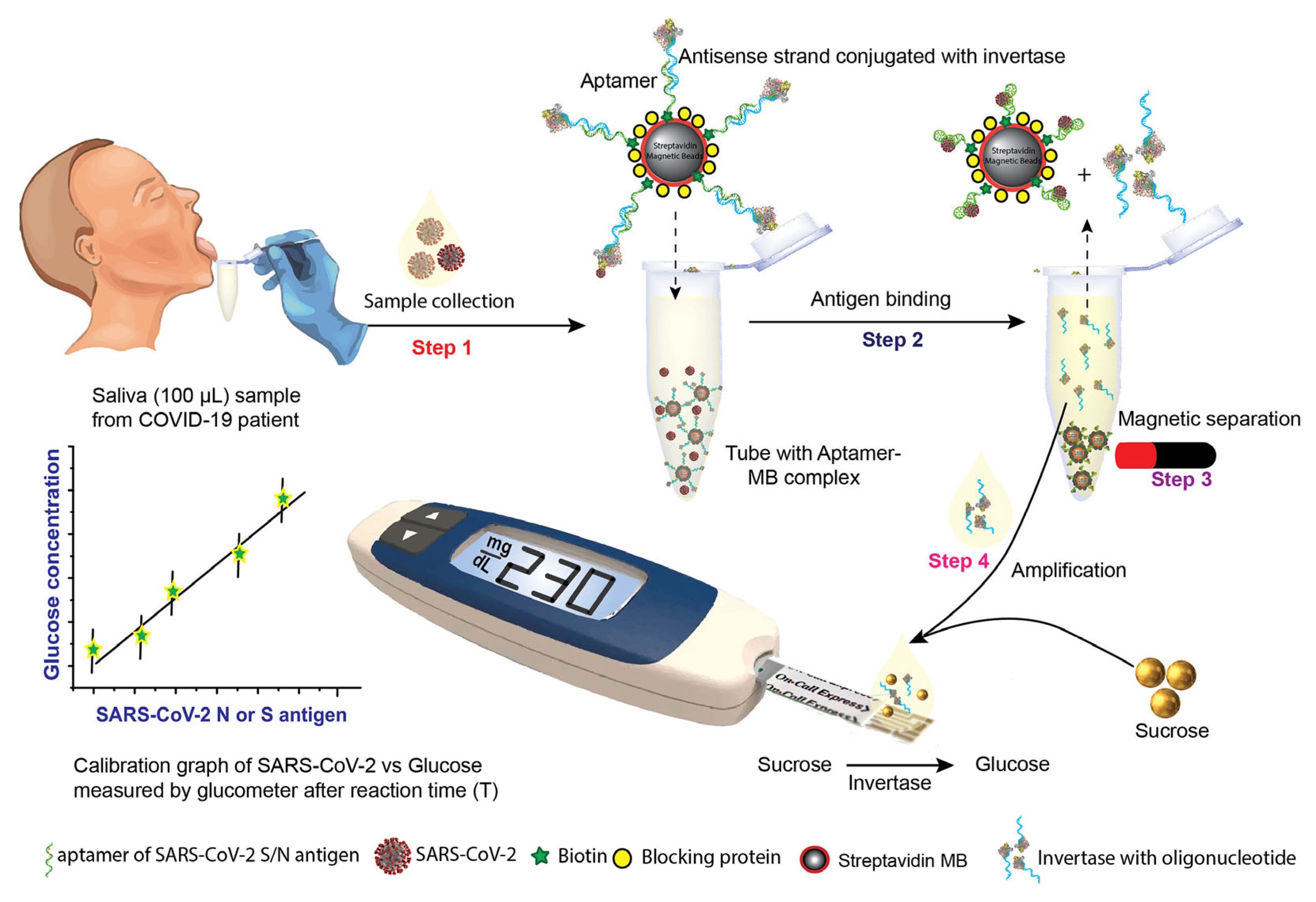 Biosensors 13 00304 g012