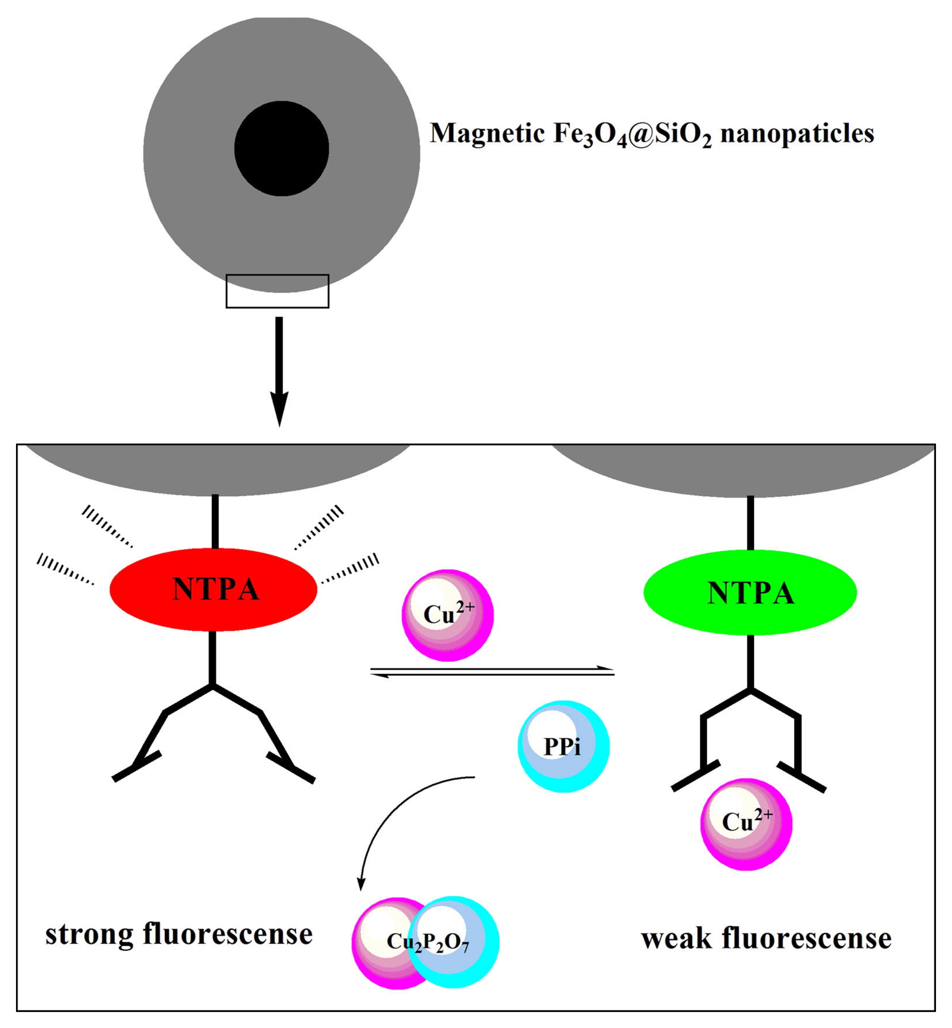 Biosensors 13 00304 g015