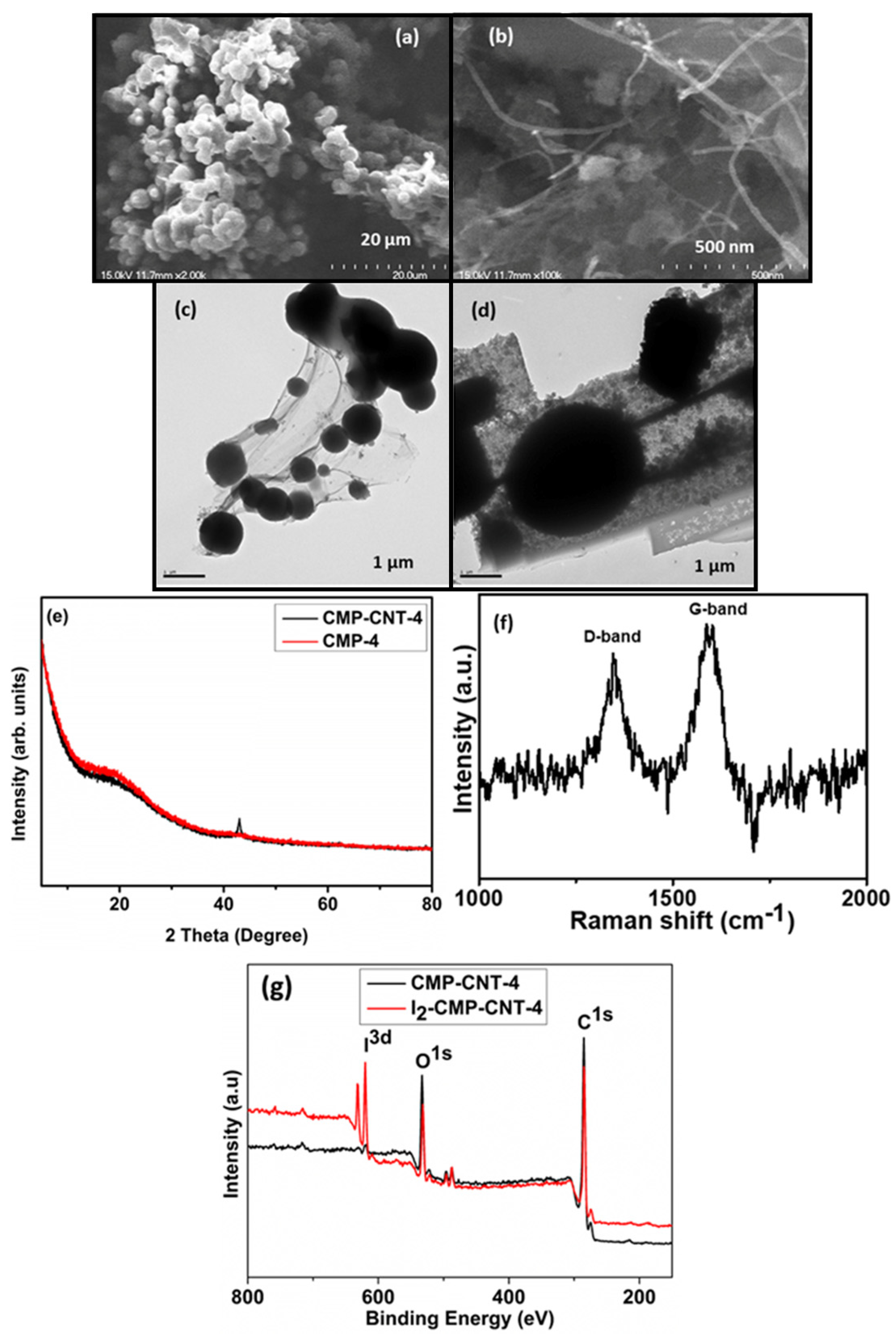 Biosensors 13 00308 g002 Biosensors 13 00308 g002