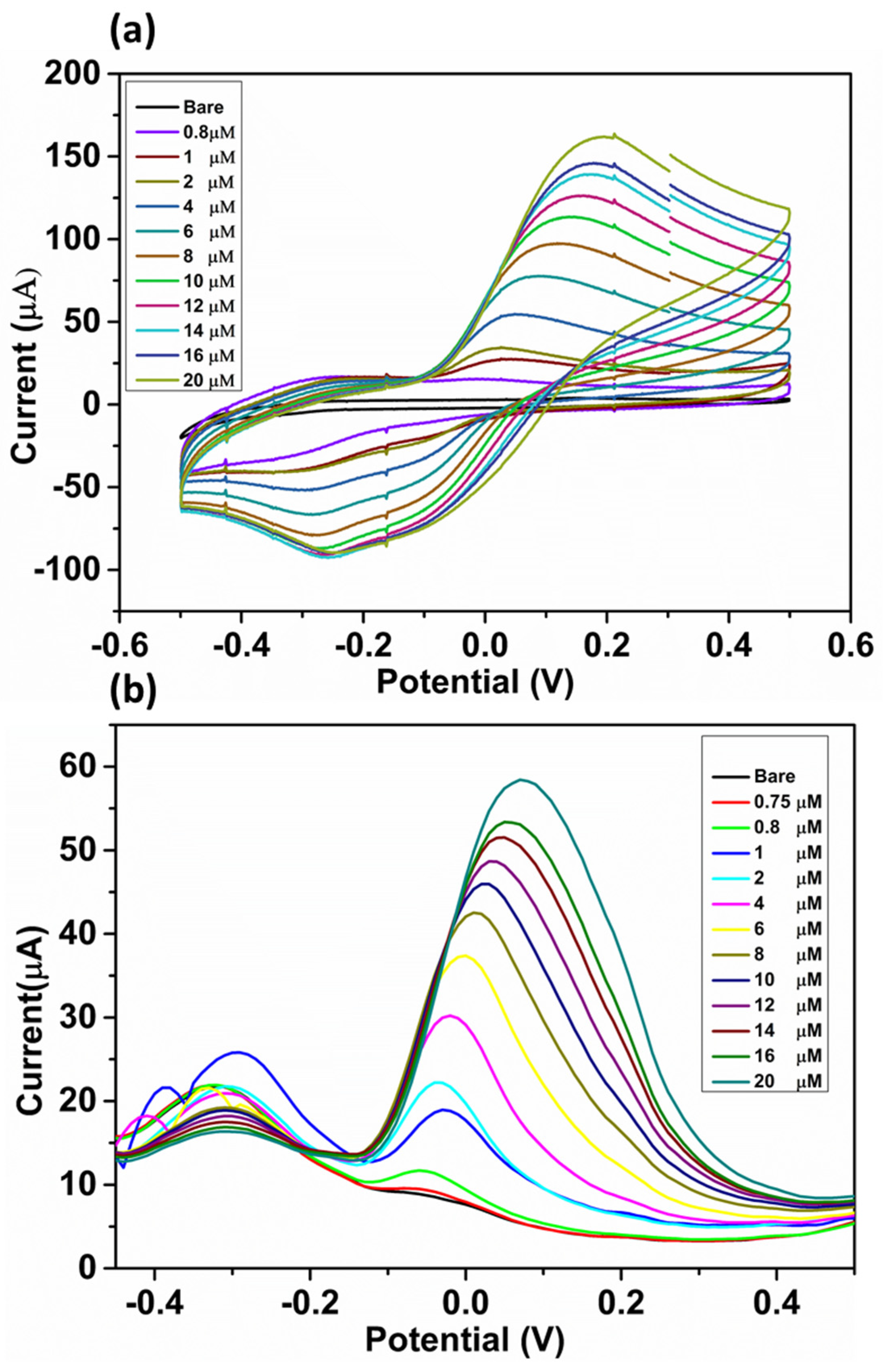 Biosensors 13 00308 g005 Biosensors 13 00308 g005