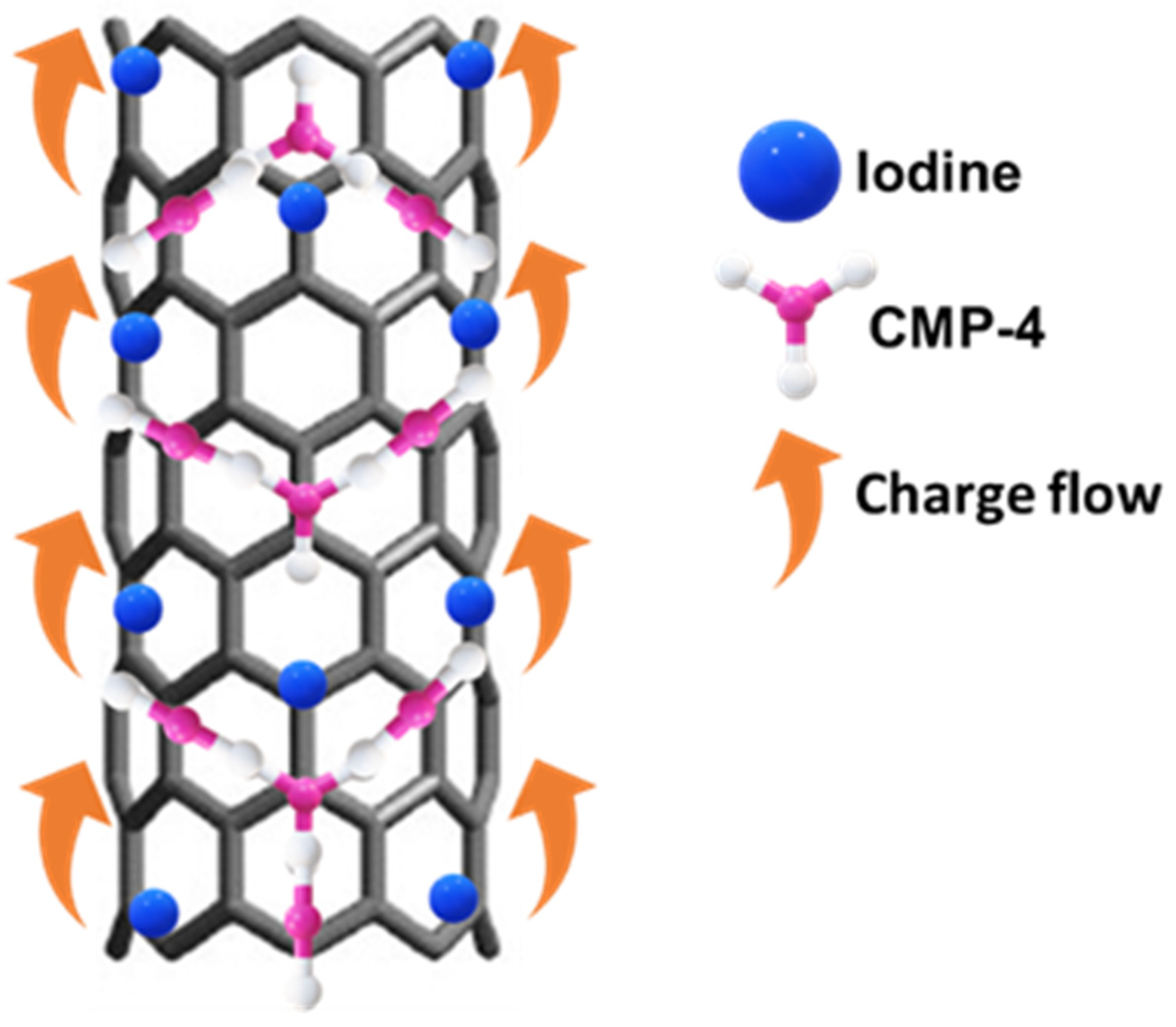Biosensors 13 00308 sch003 Biosensors 13 00308 sch003