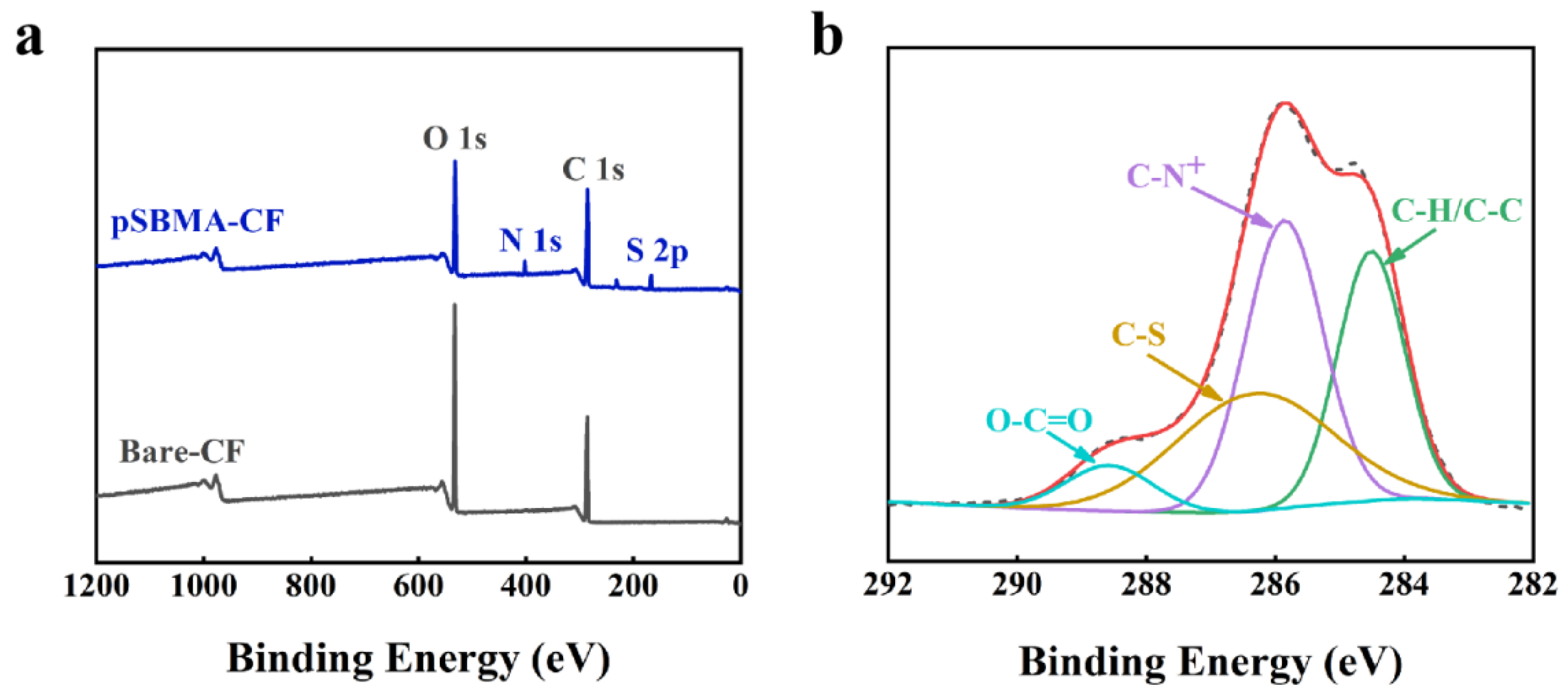 Biosensors 13 00309 g002 Biosensors 13 00309 g002