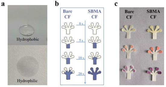 超大特価 Detection Sensitive and Simultaneous of Pesticides Three 手提げ・レッスンバッグ・入園グッズ