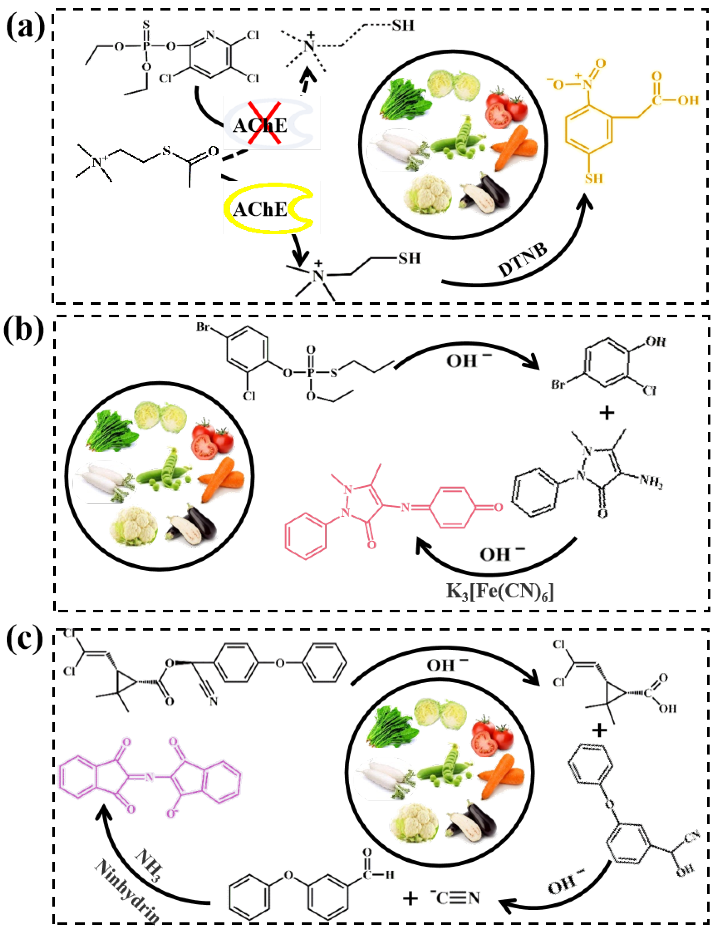 Biosensors 13 00309 g005 Biosensors 13 00309 g005