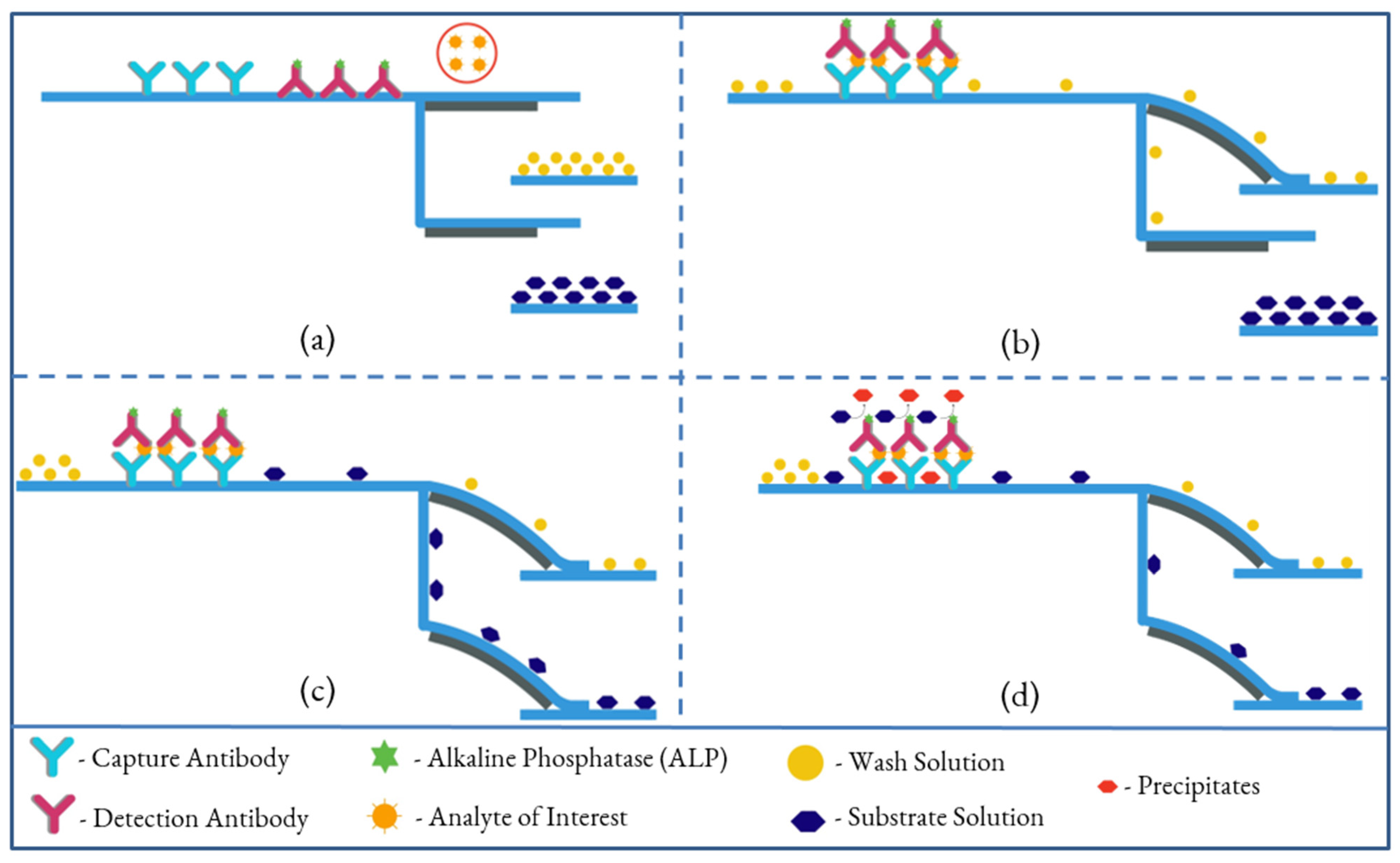 Biosensors 13 00310 g002 Biosensors 13 00310 g002