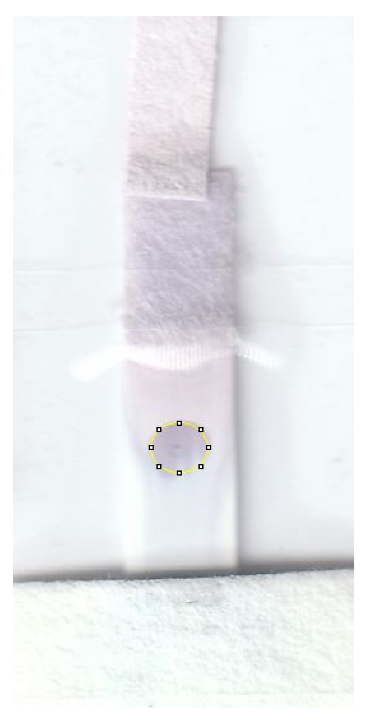 Biosensors 13 00310 g006 Biosensors 13 00310 g006