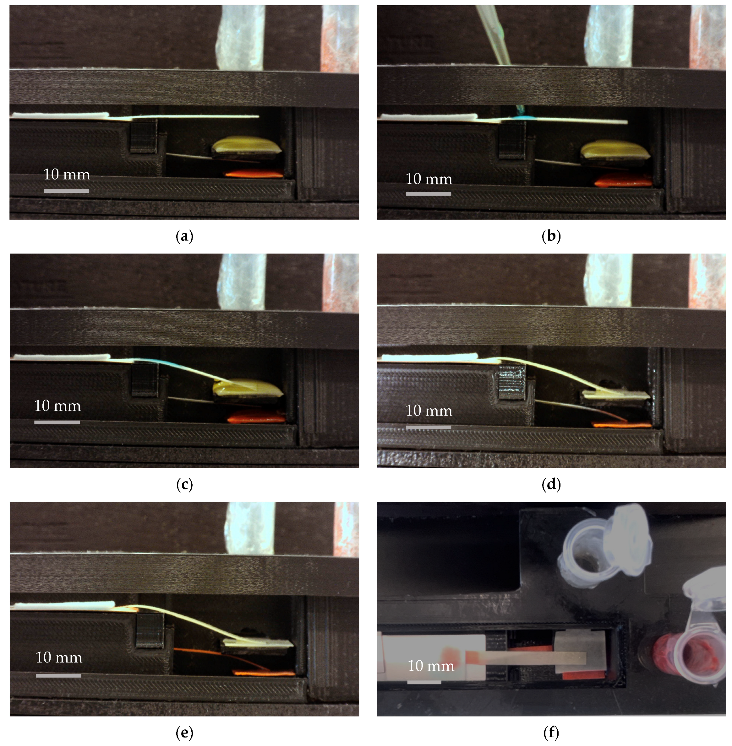 Biosensors 13 00310 g008 Biosensors 13 00310 g008