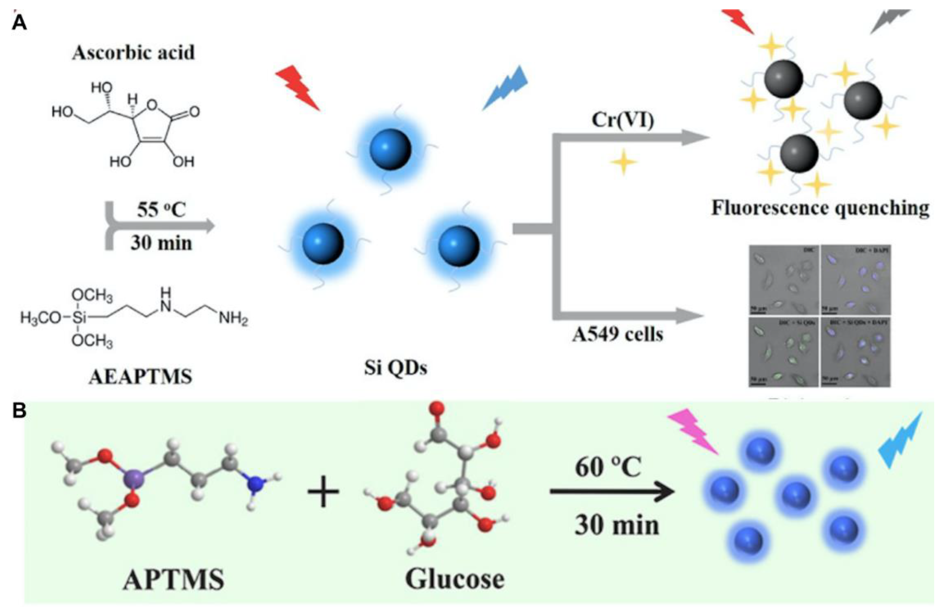 Biosensors 13 00311 g003 Biosensors 13 00311 g003