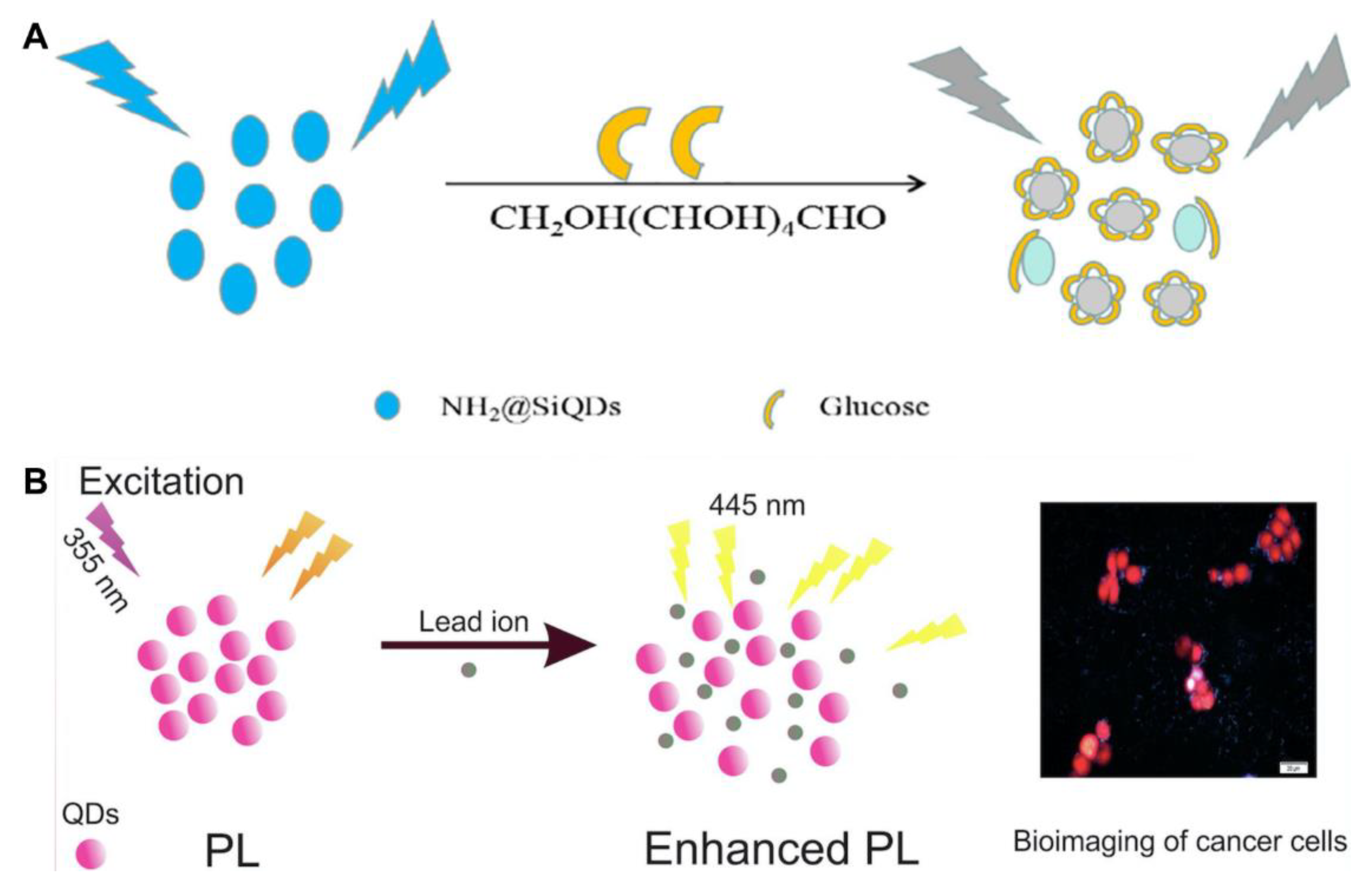 Biosensors 13 00311 g004 Biosensors 13 00311 g004