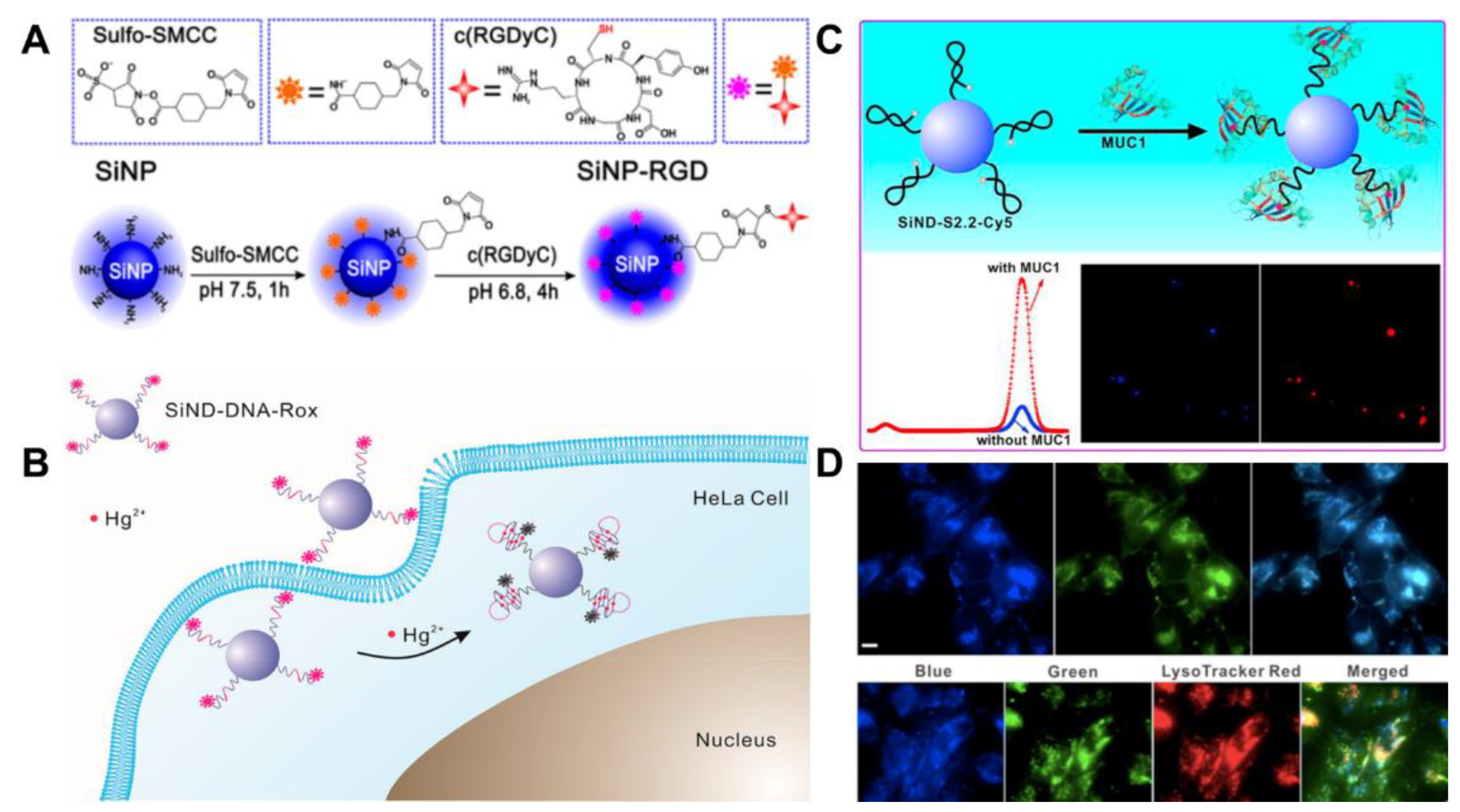 Biosensors 13 00311 g006 Biosensors 13 00311 g006