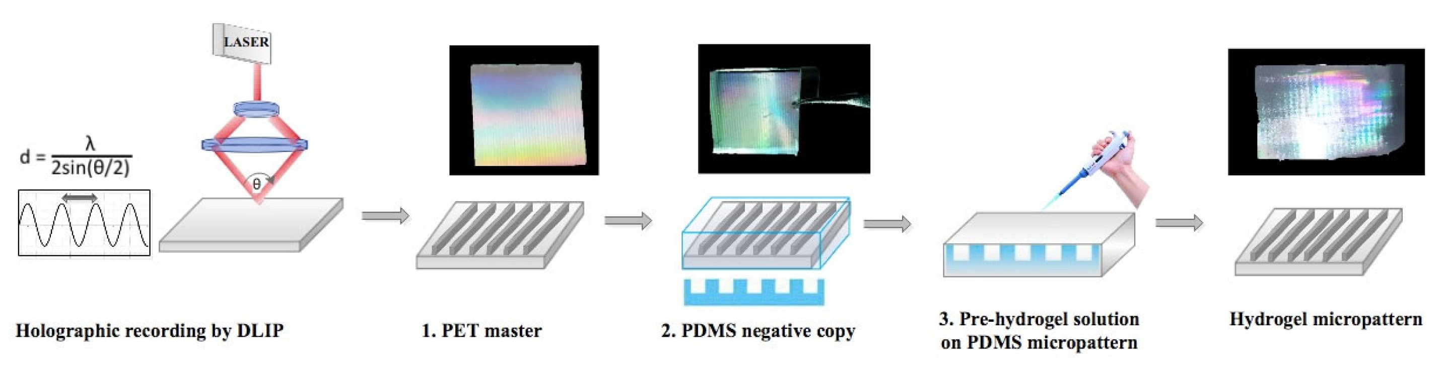 Biosensors 13 00312 sch001 Biosensors 13 00312 sch001