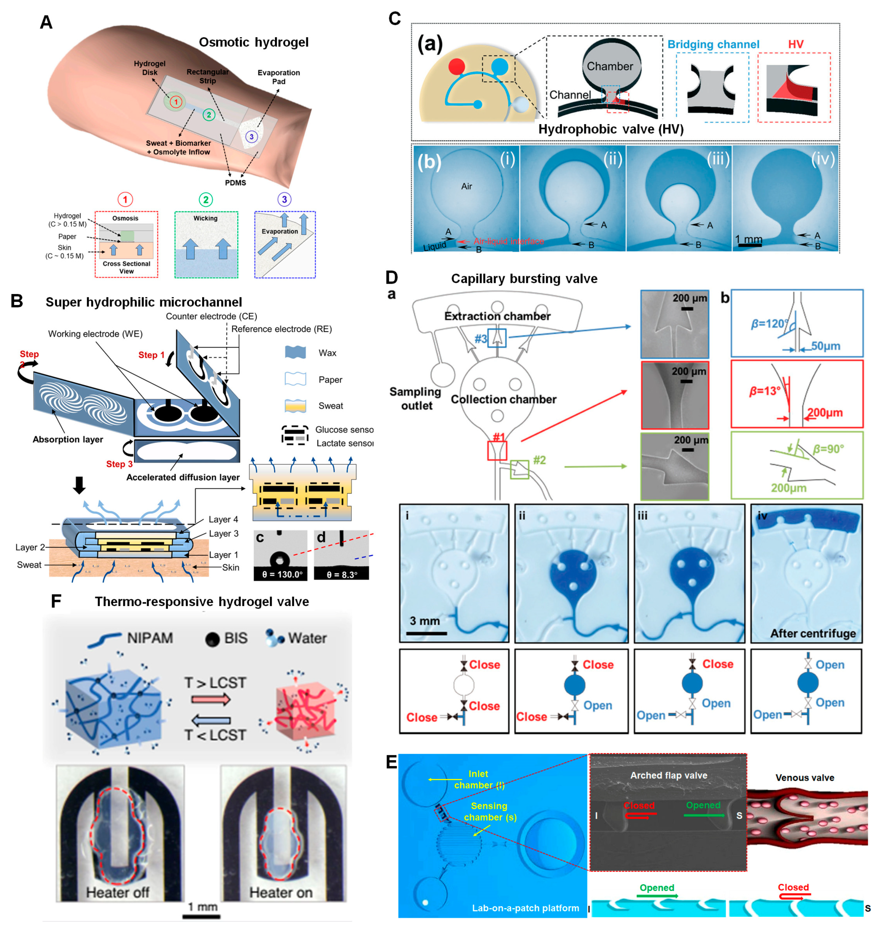 Biosensors 13 00313 g005