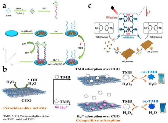 タイム Application of Nanozymes in Environmental Monitoring