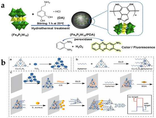 Application of Nanozymes in Environmental Monitoring
