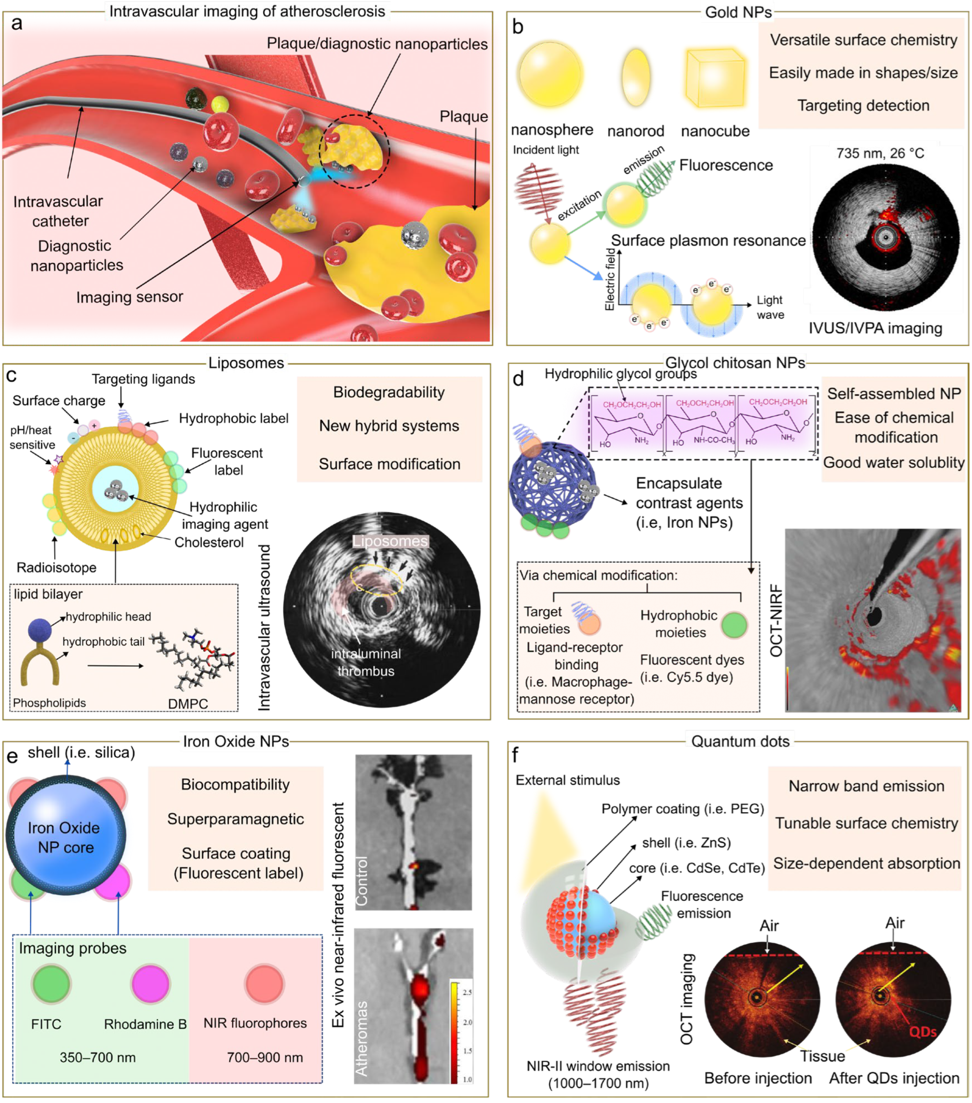 Biosensors 13 00319 g002 Biosensors 13 00319 g002