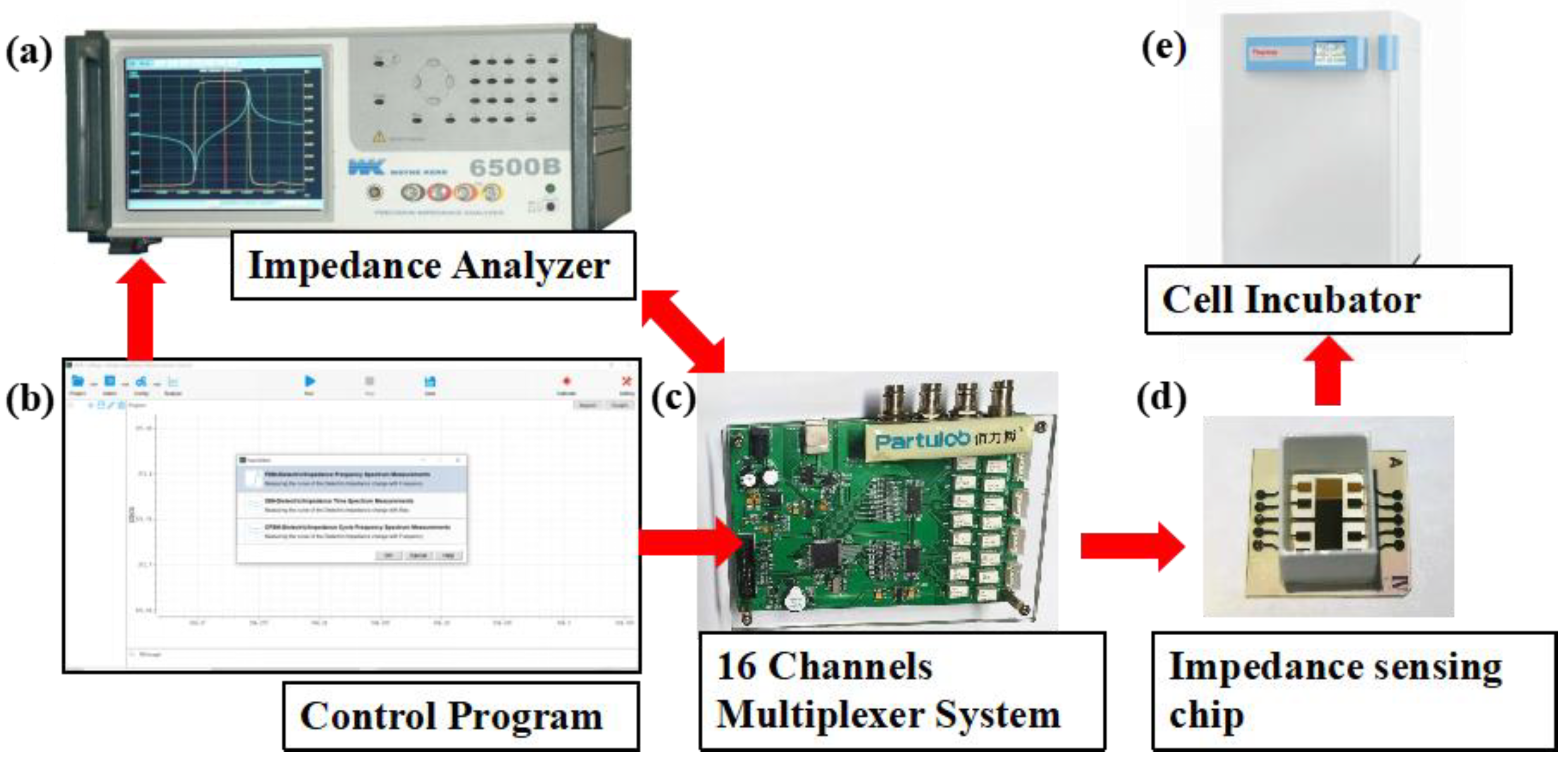Biosensors 13 00322 g002 Biosensors 13 00322 g002