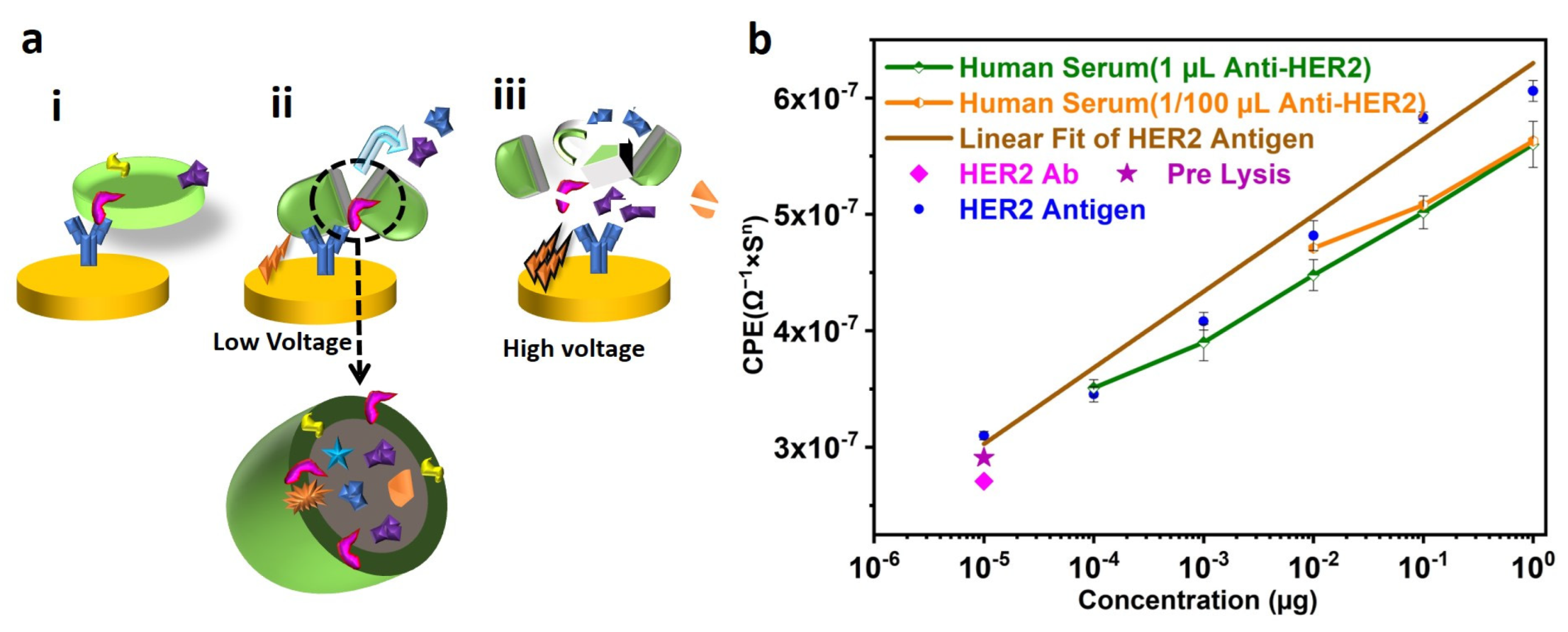 Biosensors 13 00323 g007 Biosensors 13 00323 g007