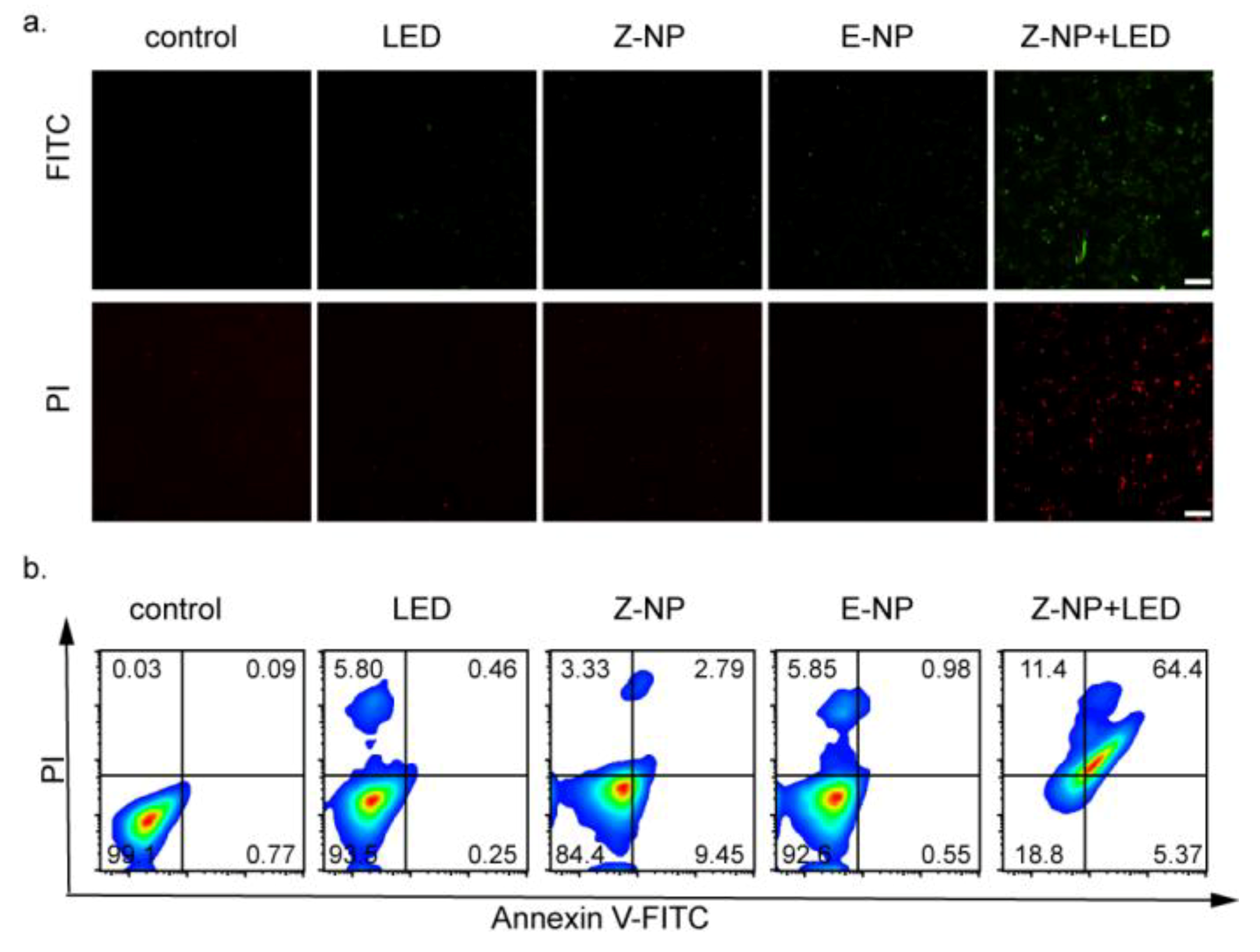 Biosensors 13 00324 g004 Biosensors 13 00324 g004
