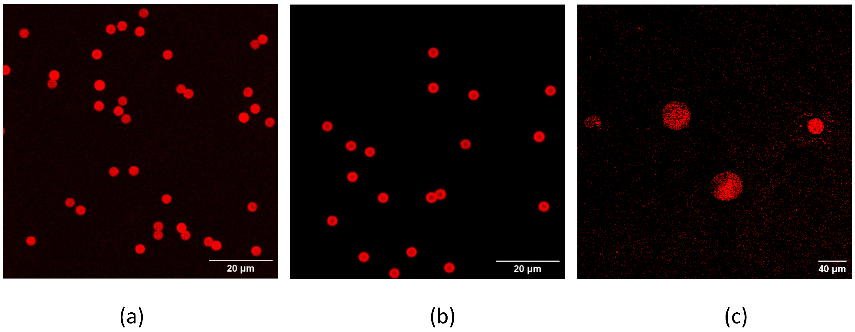 Biosensors 13 00325 g005
