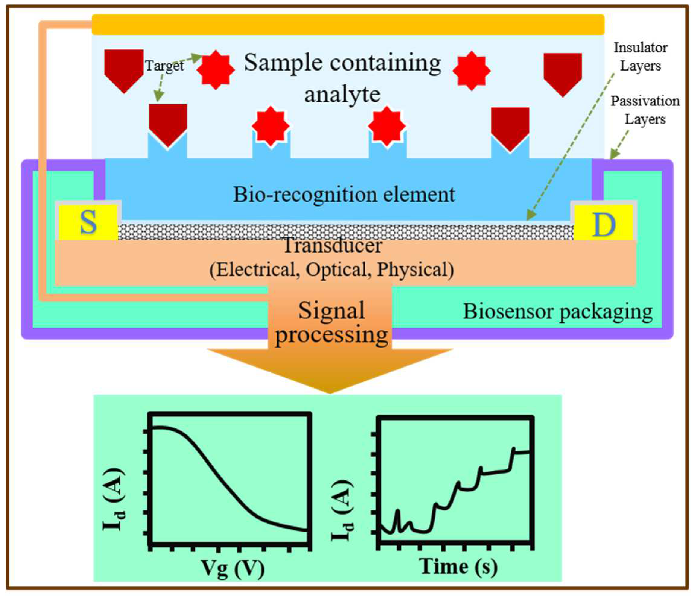 Biosensors Free FullText Toward the Commercialization of Carbon