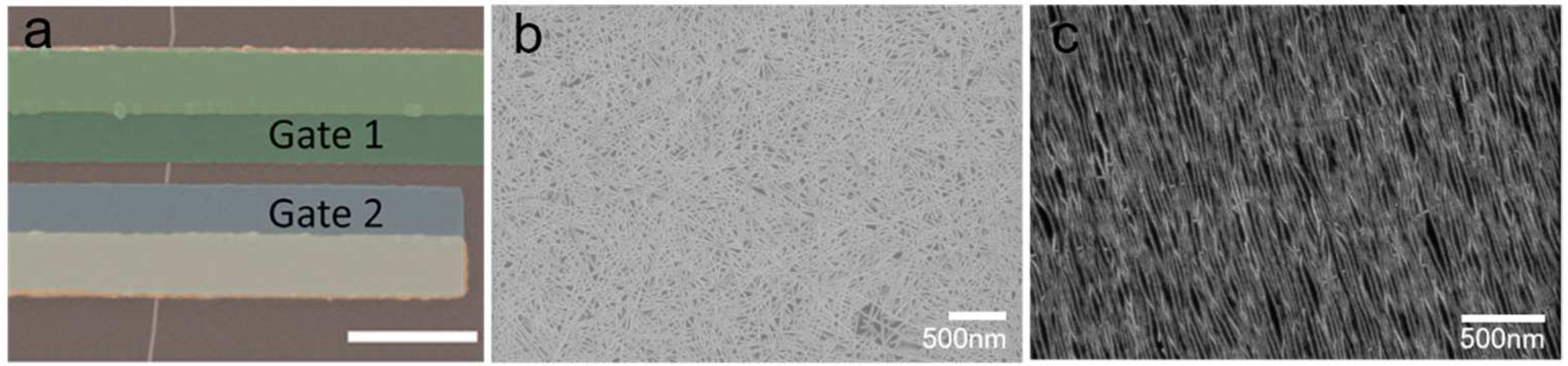 Biosensors 13 00326 g004