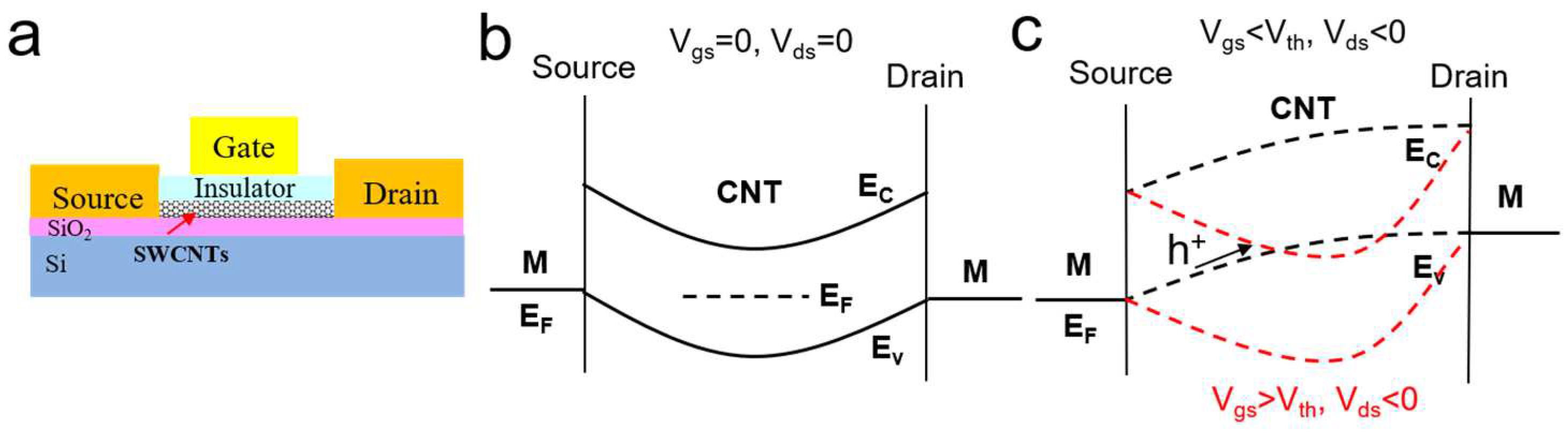 Biosensors 13 00326 g005