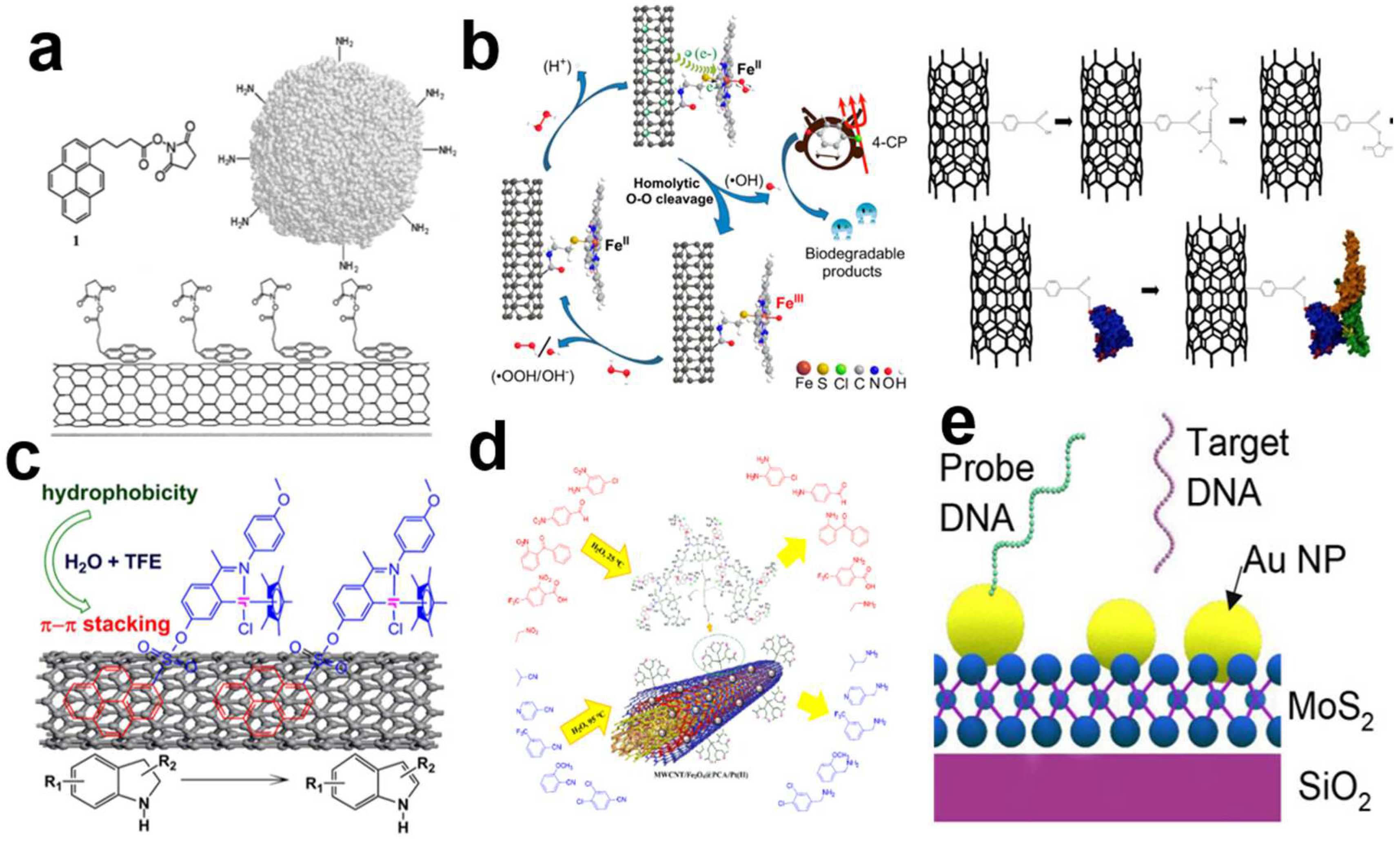 Biosensors 13 00326 g007