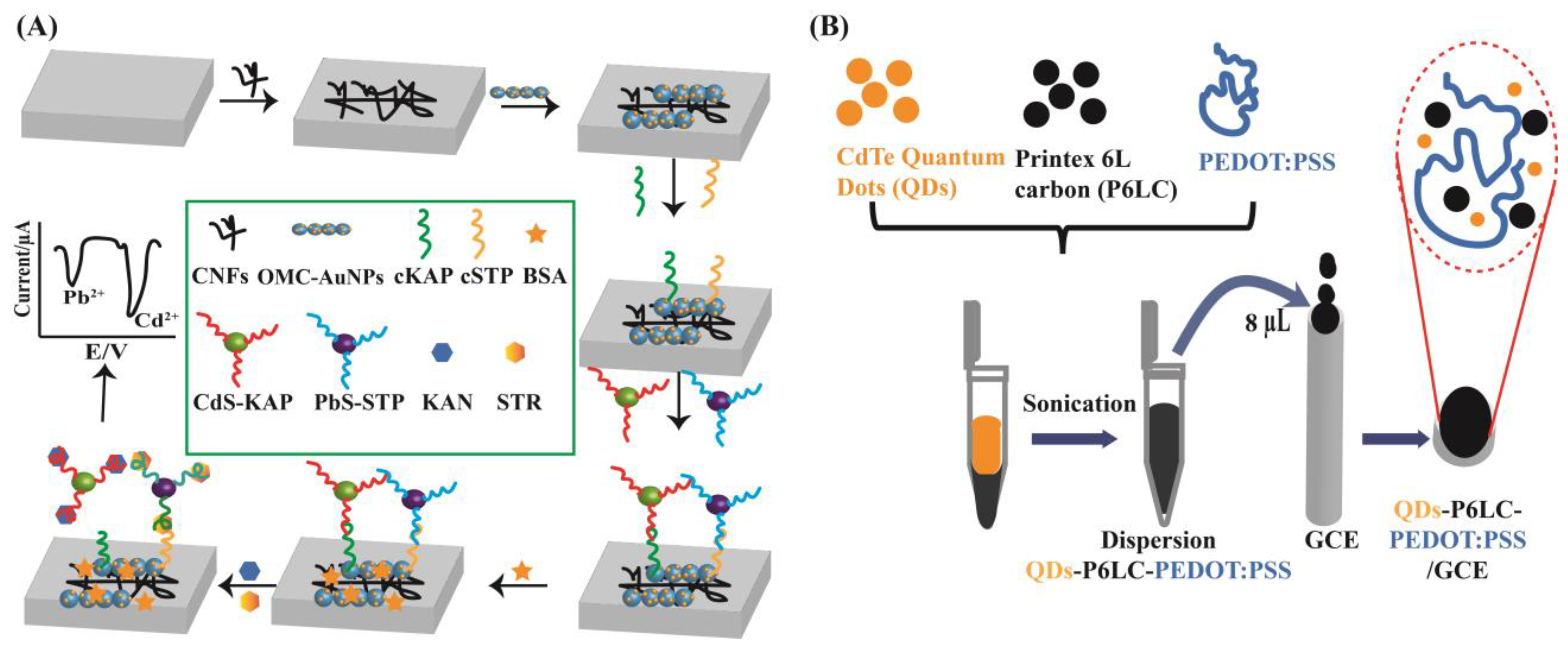 Biosensors 13 00327 g005