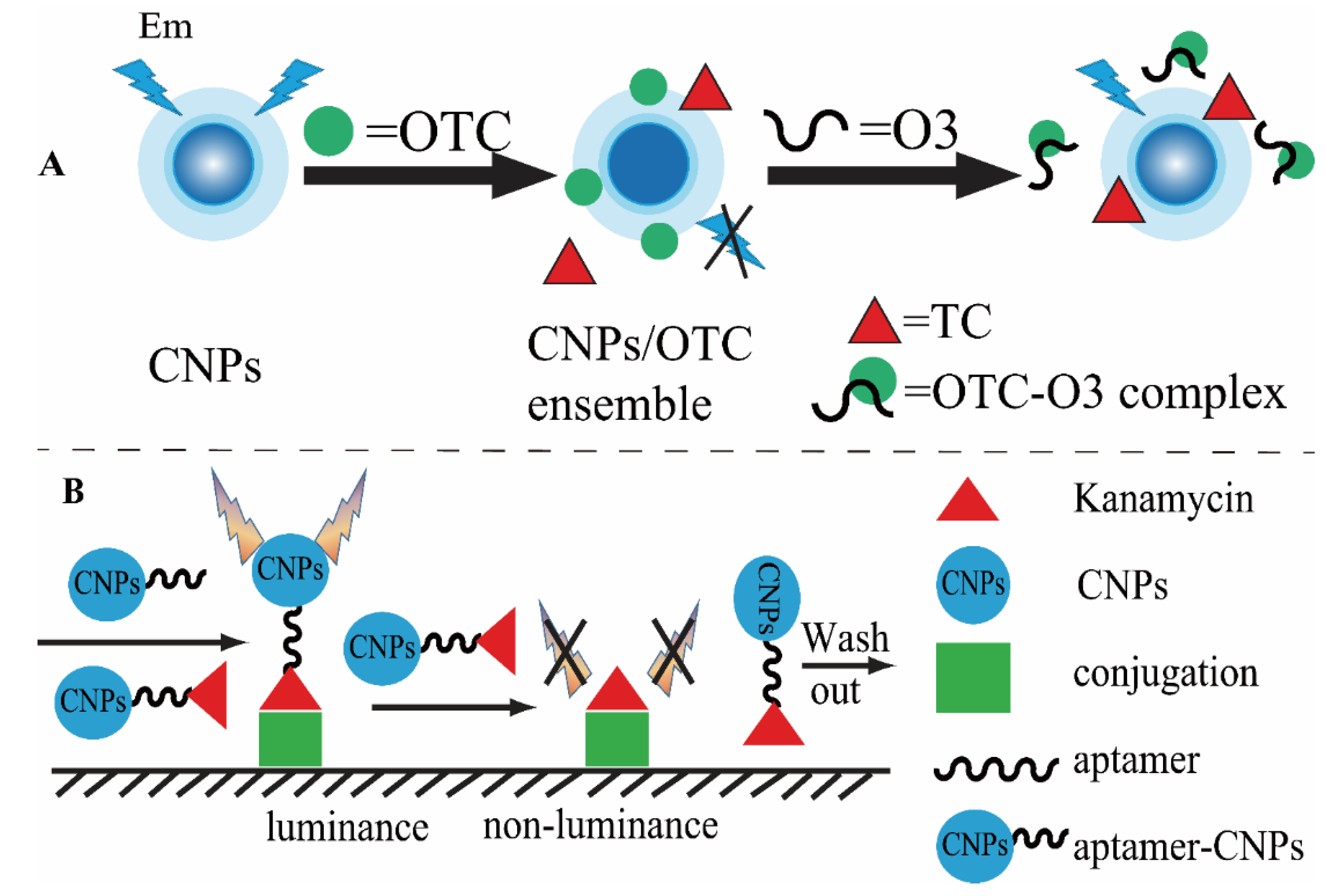 Biosensors 13 00327 g006