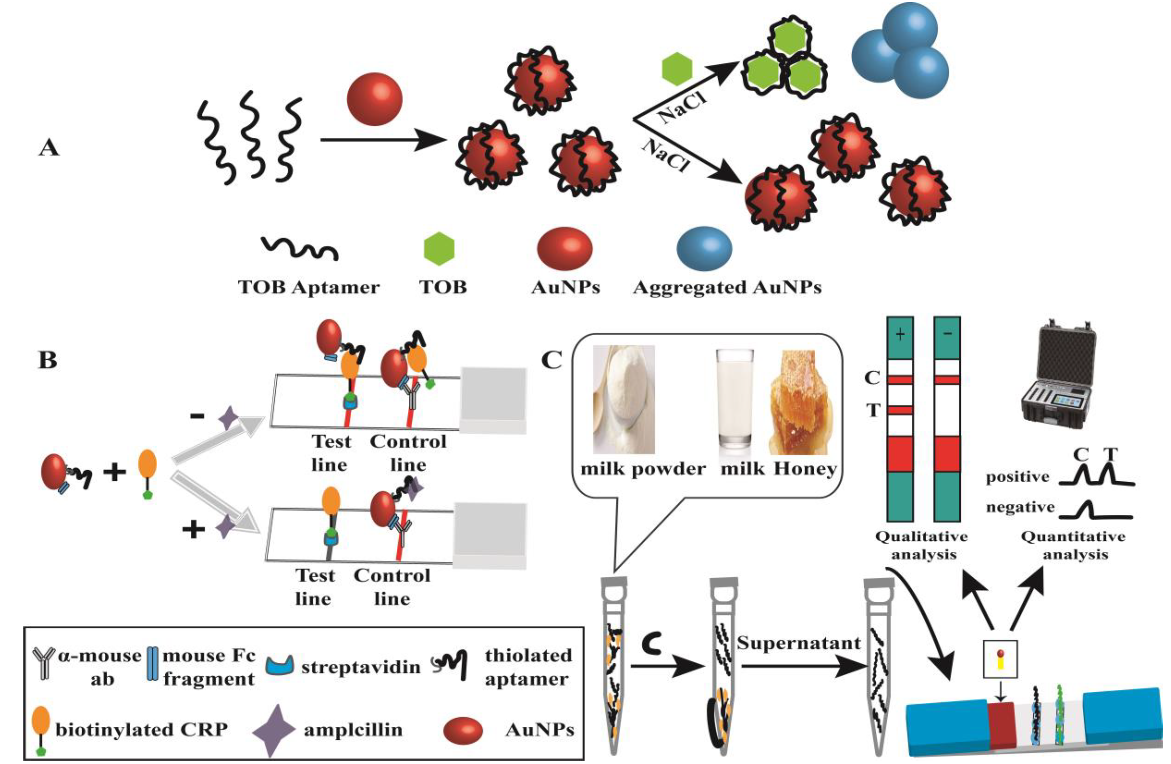Biosensors 13 00327 g007