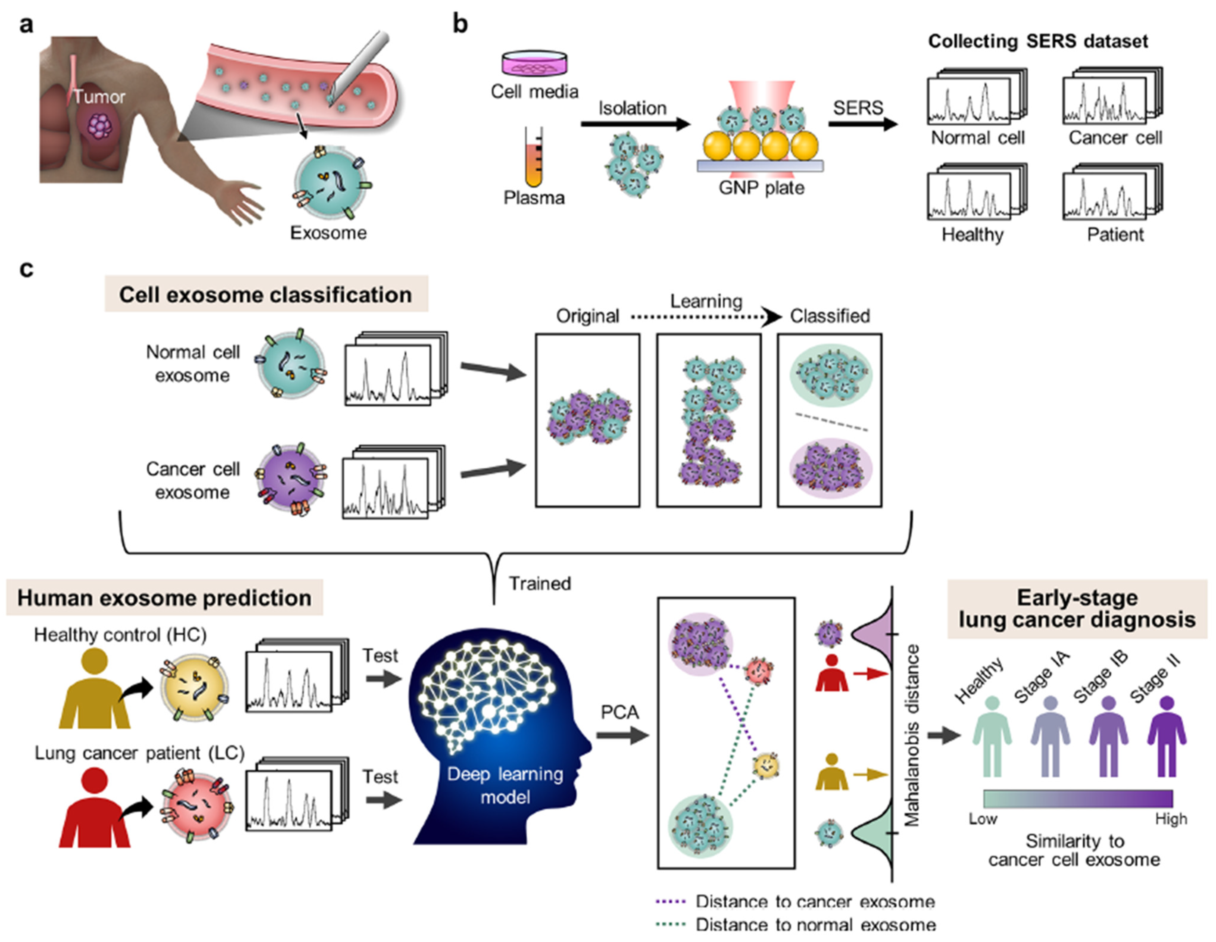 Biosensors 13 00328 g003 Biosensors 13 00328 g003