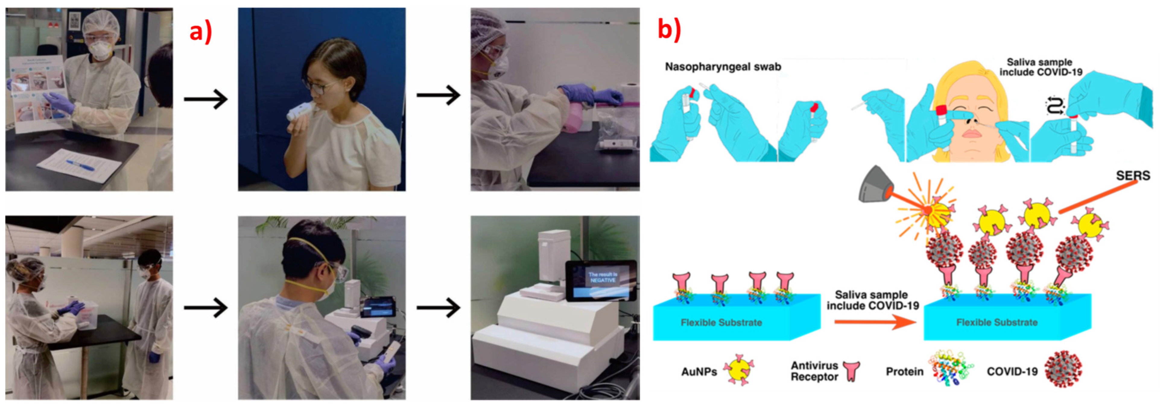 Biosensors | Free Full-Text | Recent Trends in SERS-Based 