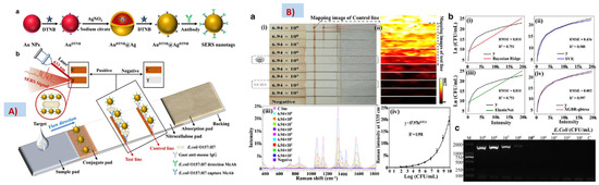 Recent Trends in SERS-Based Plasmonic Sensors for Disease