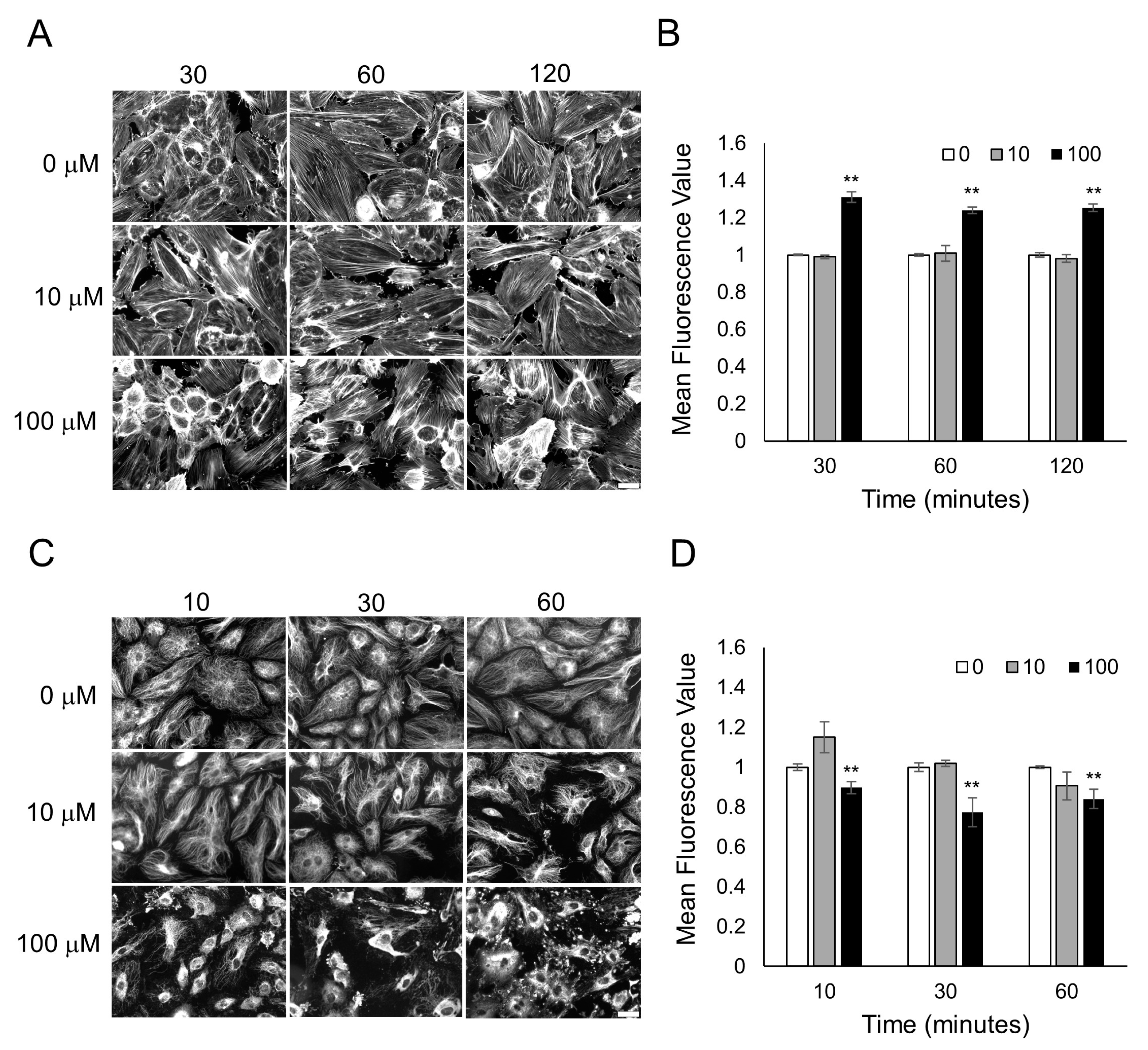Biosensors 13 00329 g004 Biosensors 13 00329 g004