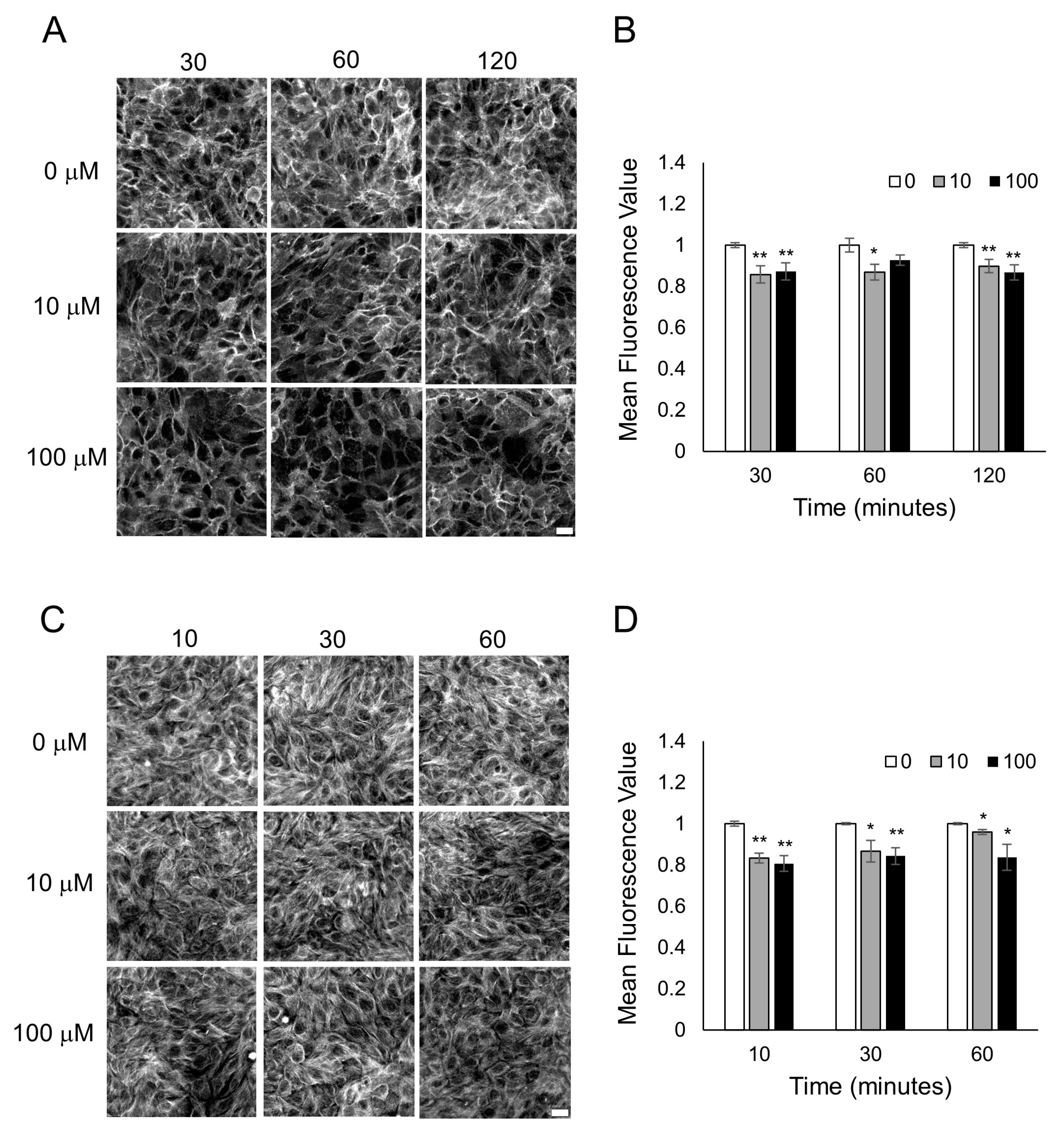 Biosensors 13 00329 g005 Biosensors 13 00329 g005