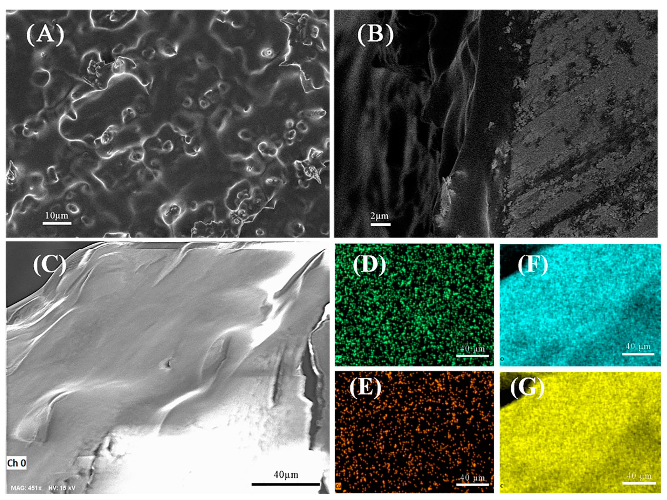 Biosensors 13 00330 g003