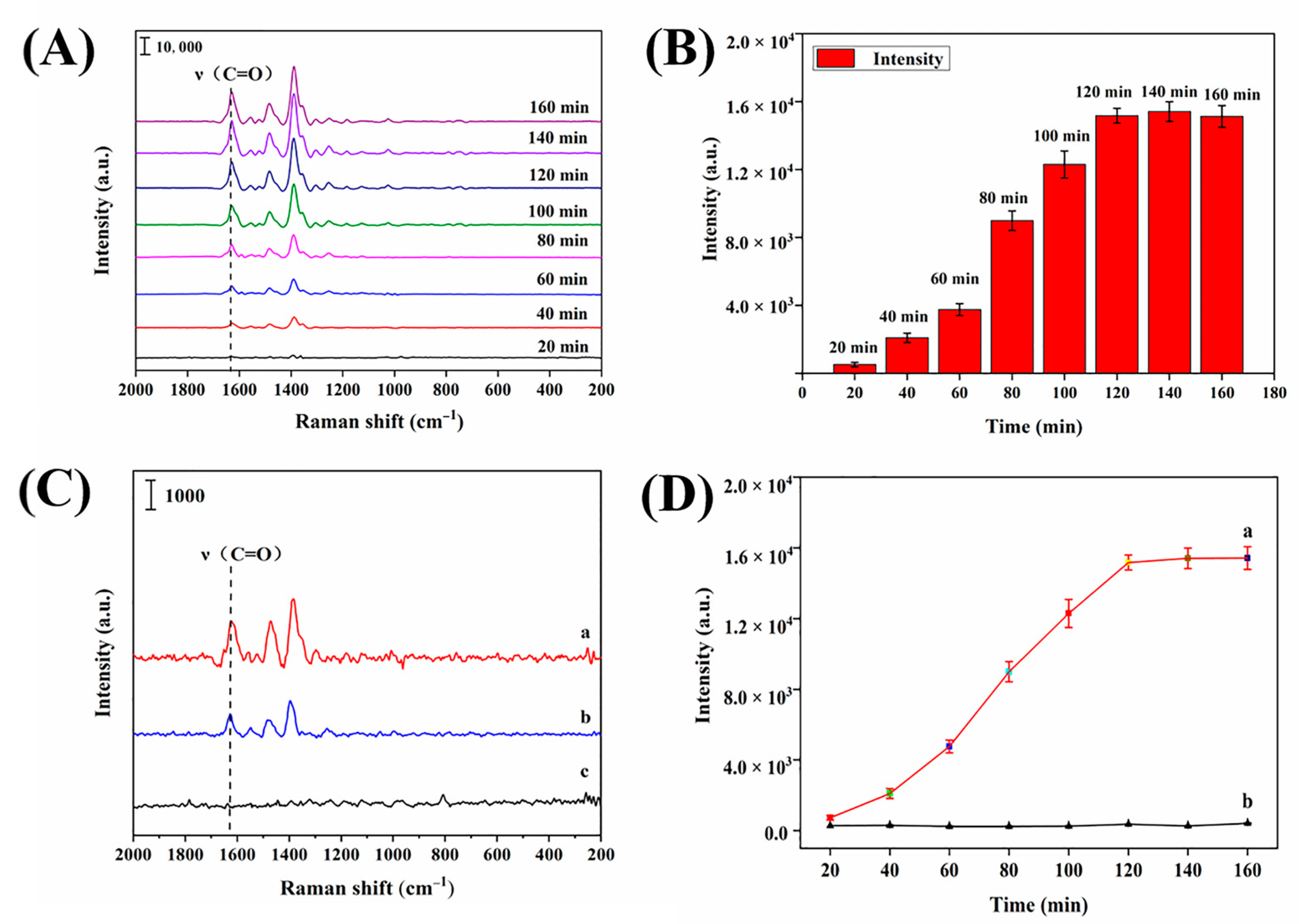 Biosensors 13 00330 g004