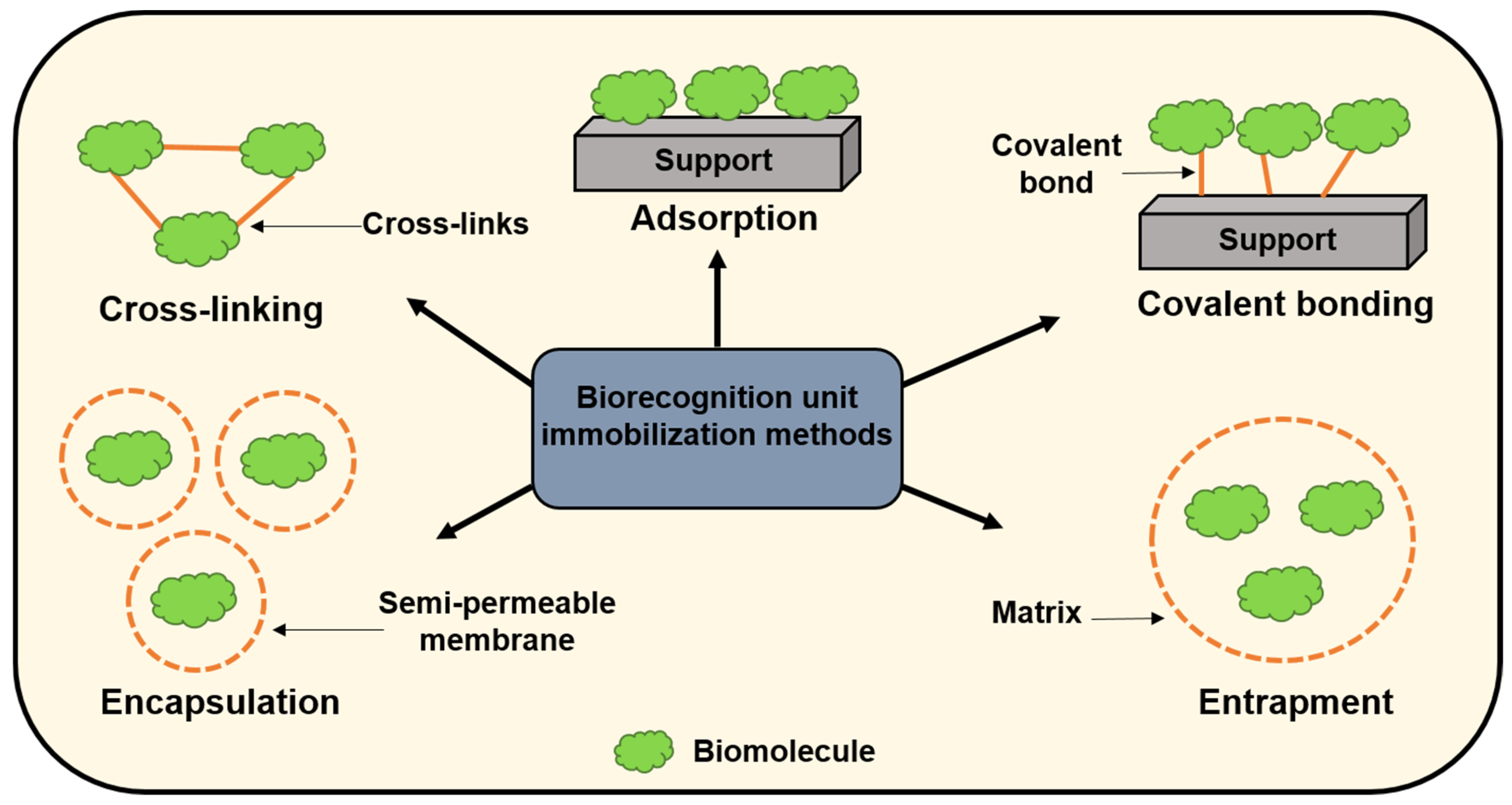 Biosensors 13 00333 g002 Biosensors 13 00333 g002