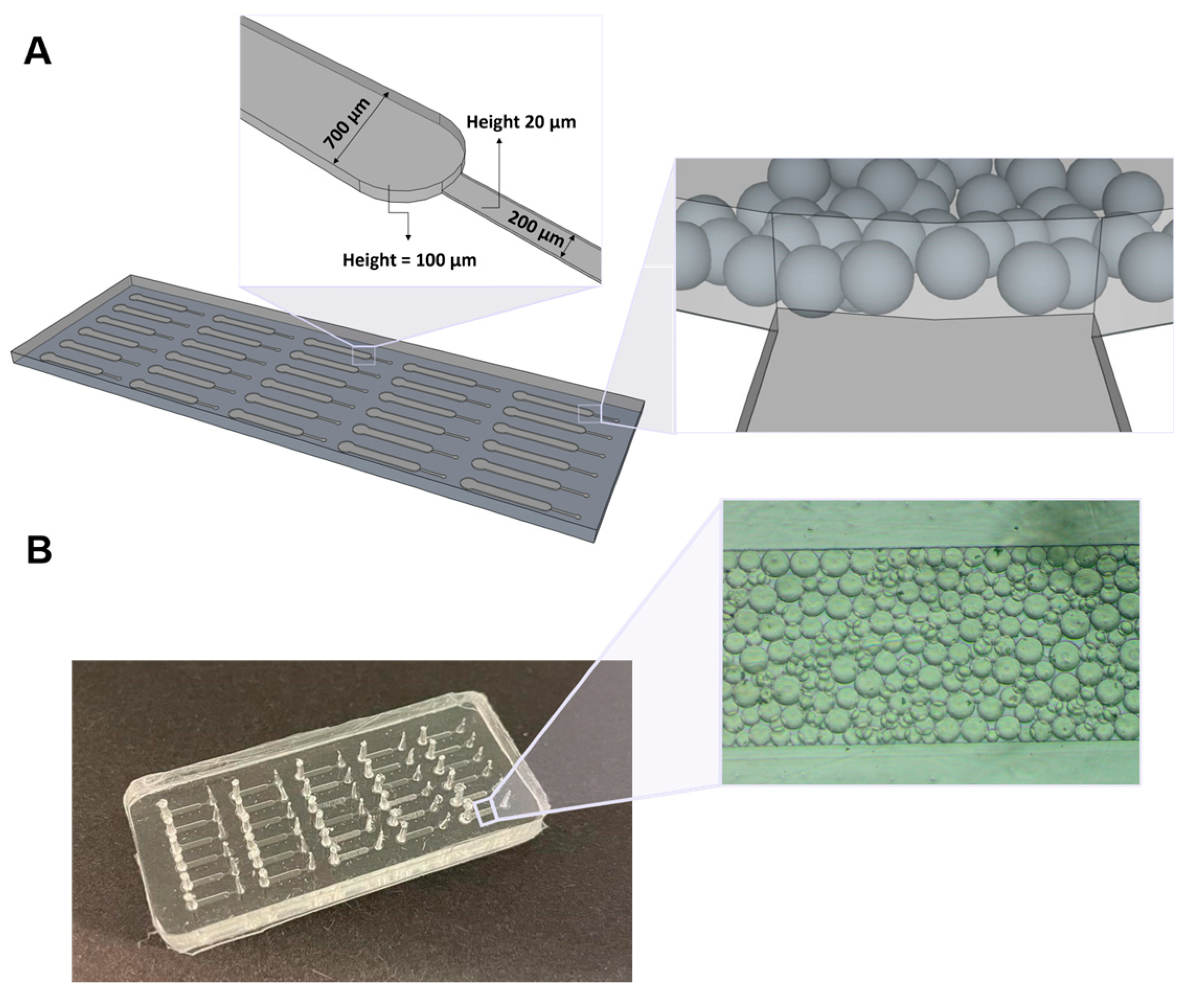 Biosensors 13 00334 g001 Biosensors 13 00334 g001