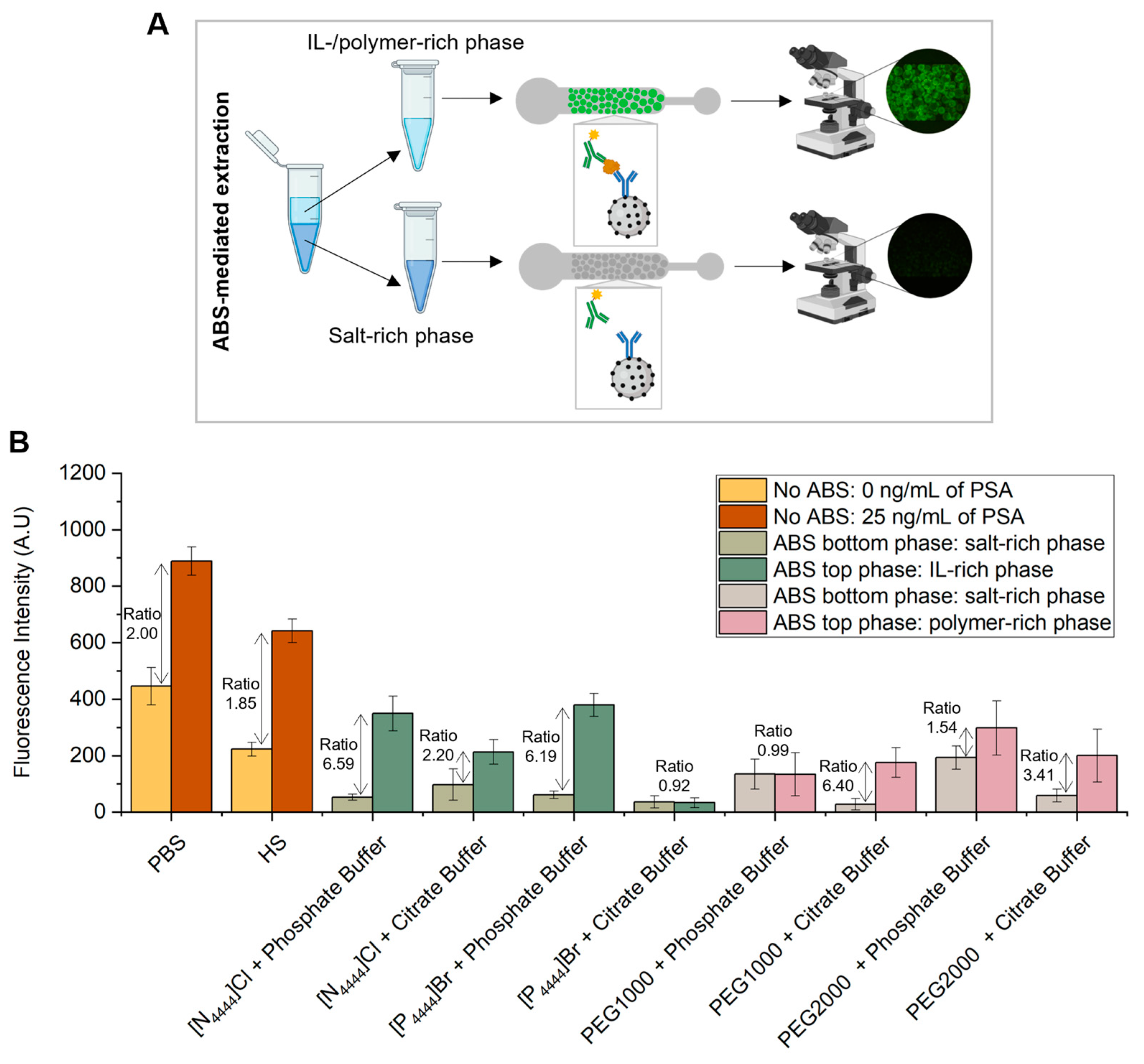 Biosensors 13 00334 g004 Biosensors 13 00334 g004