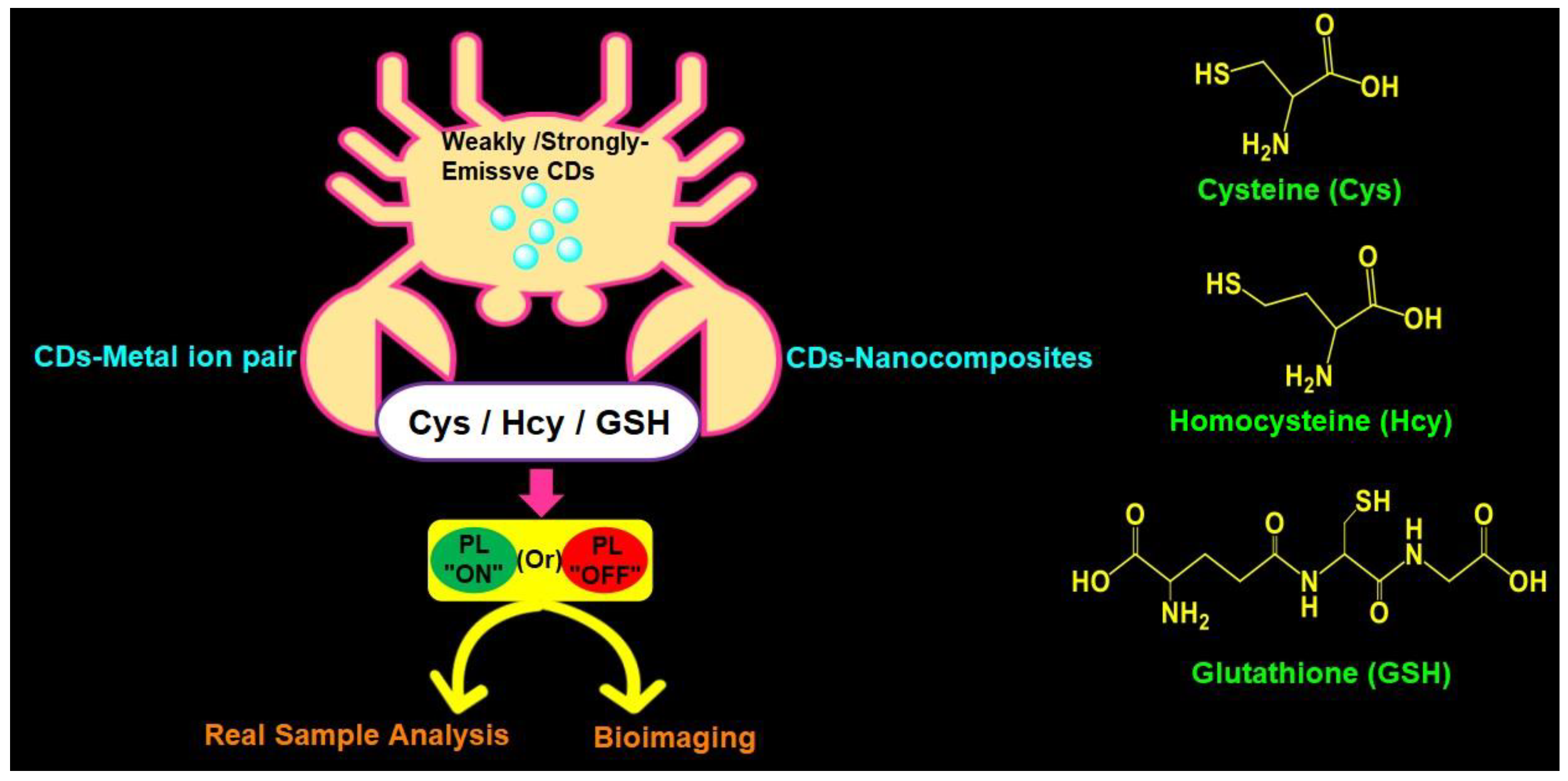 Biosensors 13 00335 g001 Biosensors 13 00335 g001
