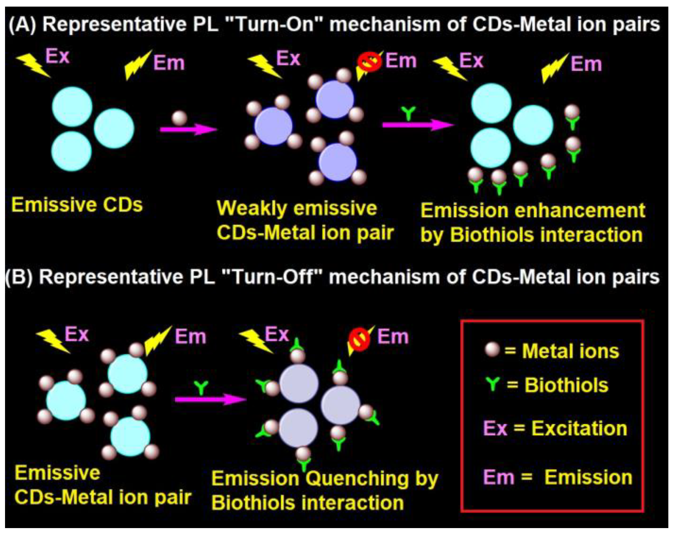 Biosensors 13 00335 g002 Biosensors 13 00335 g002