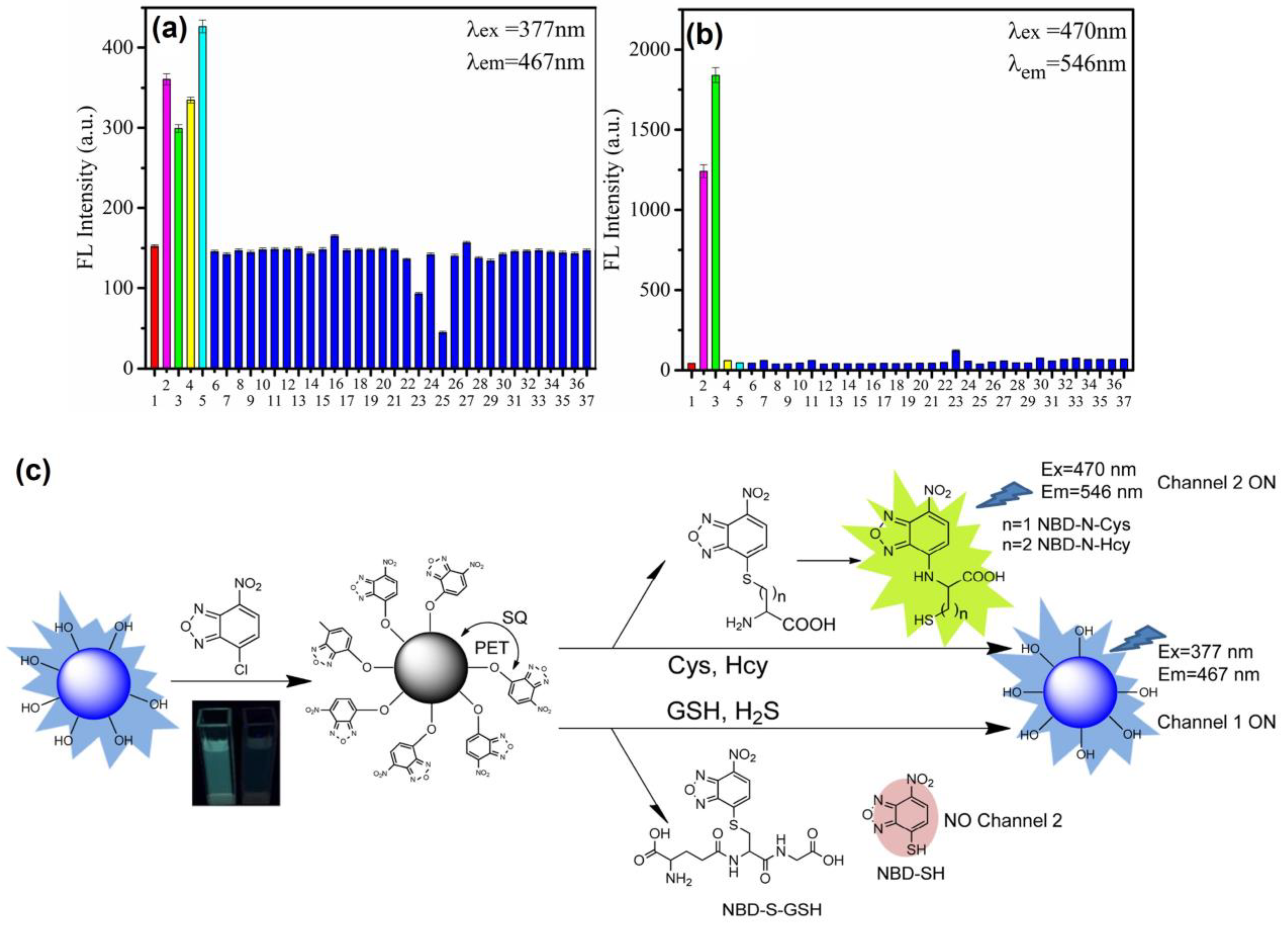 Biosensors 13 00335 g010 Biosensors 13 00335 g010
