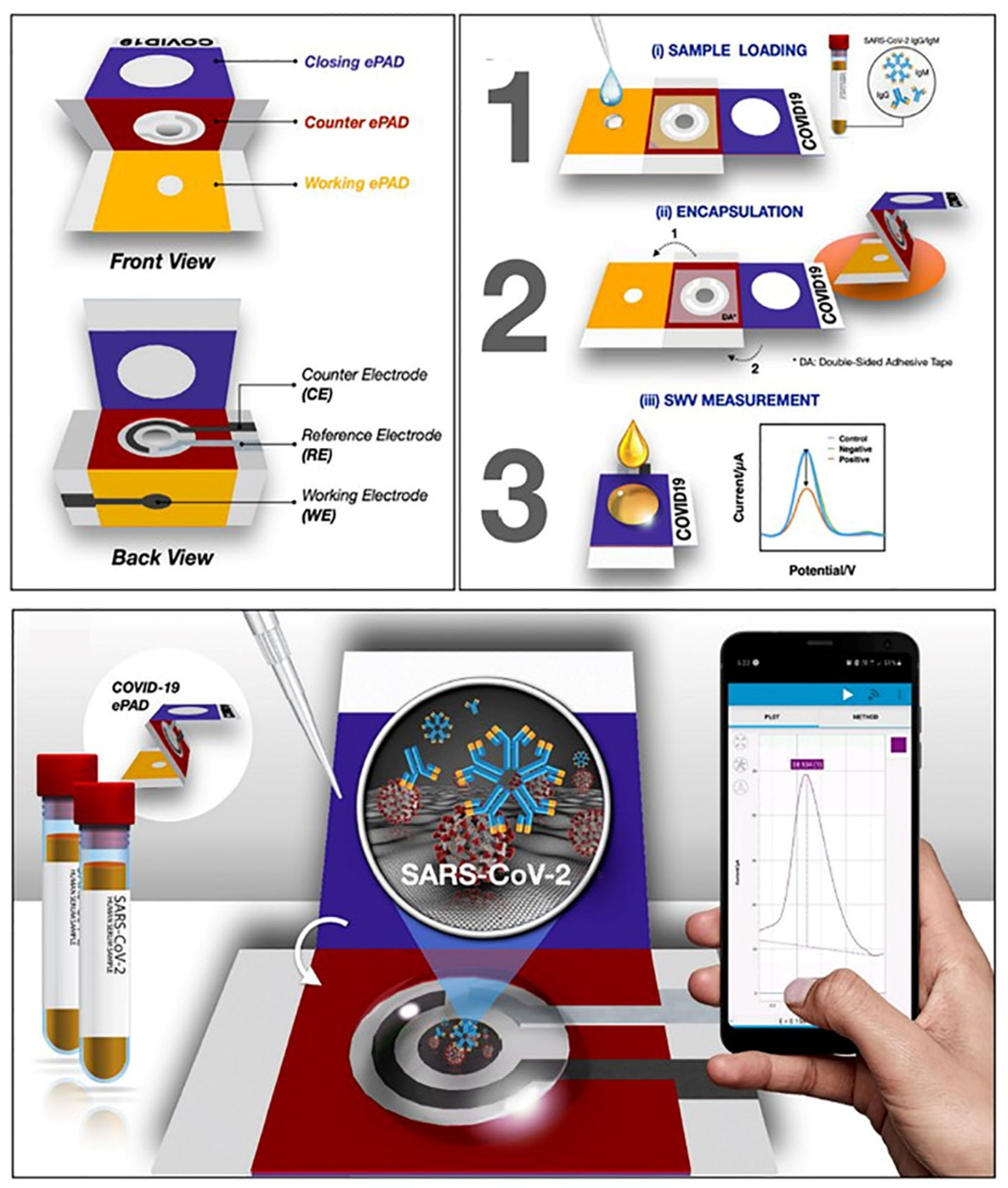 Biosensors 13 00336 g004