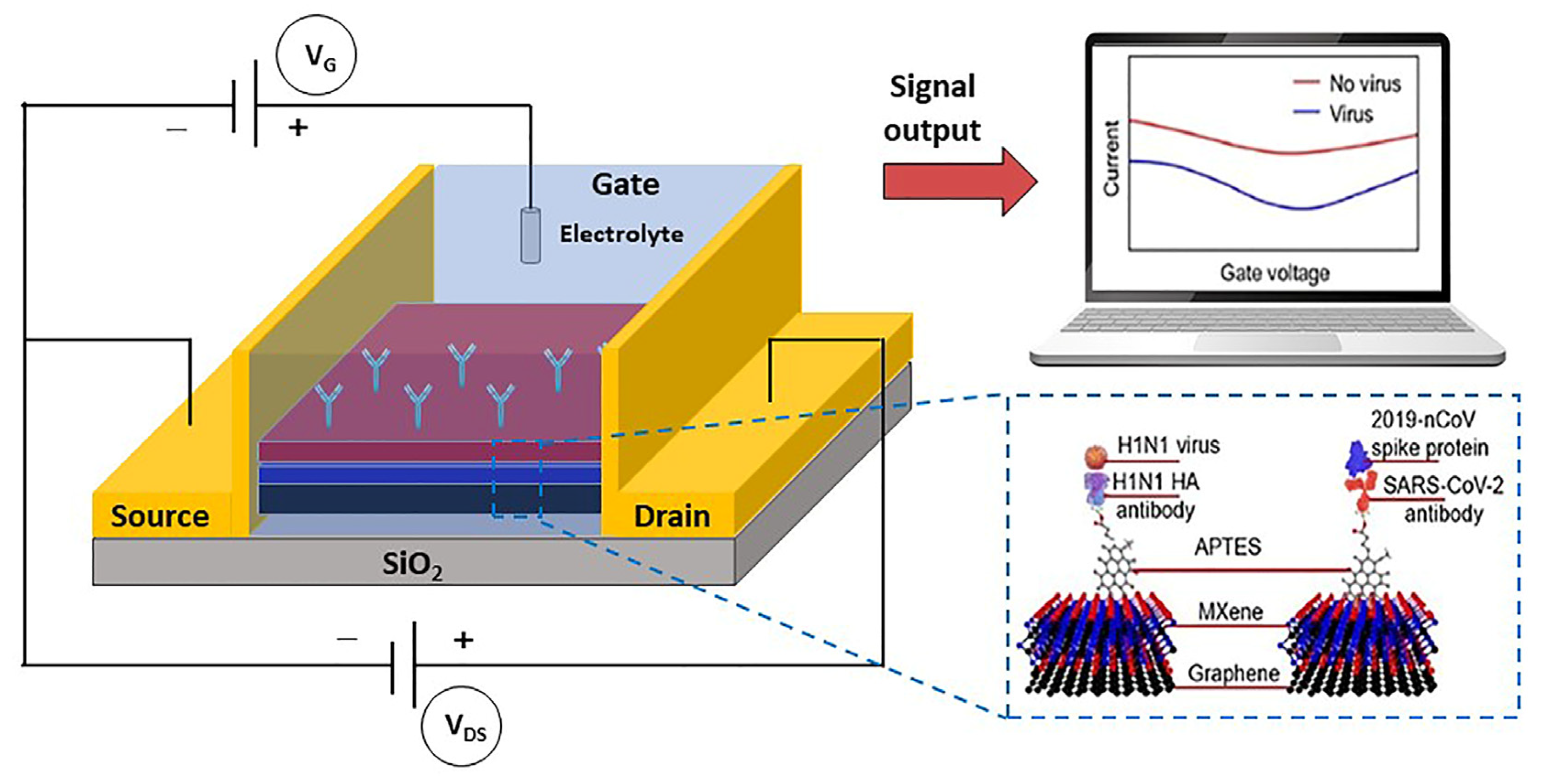 Biosensors 13 00336 g006