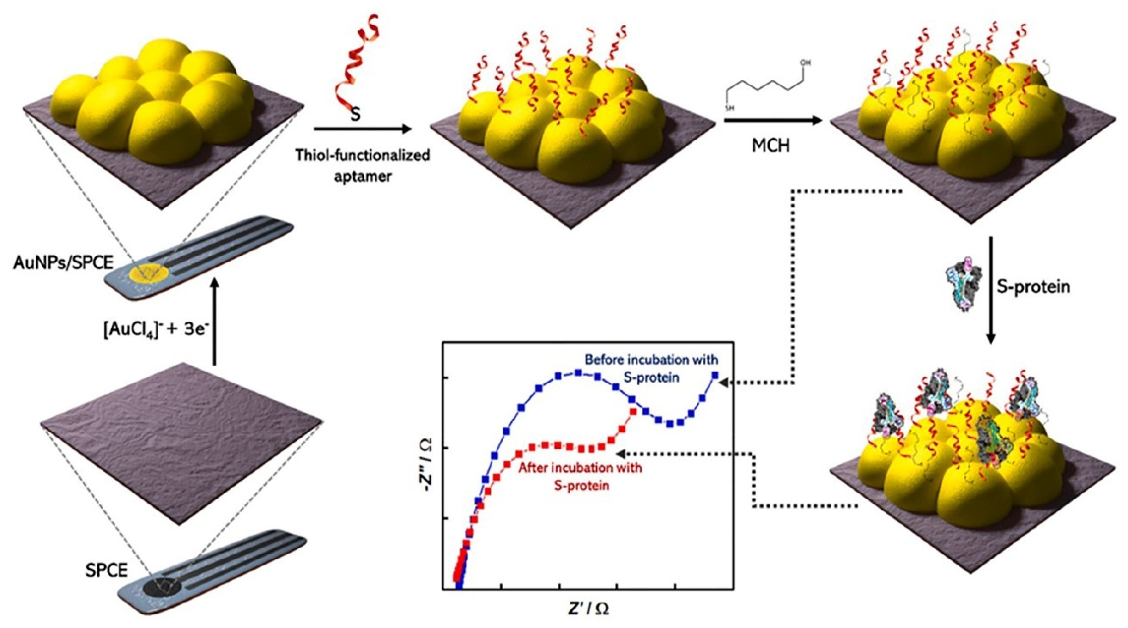 Biosensors 13 00336 g009