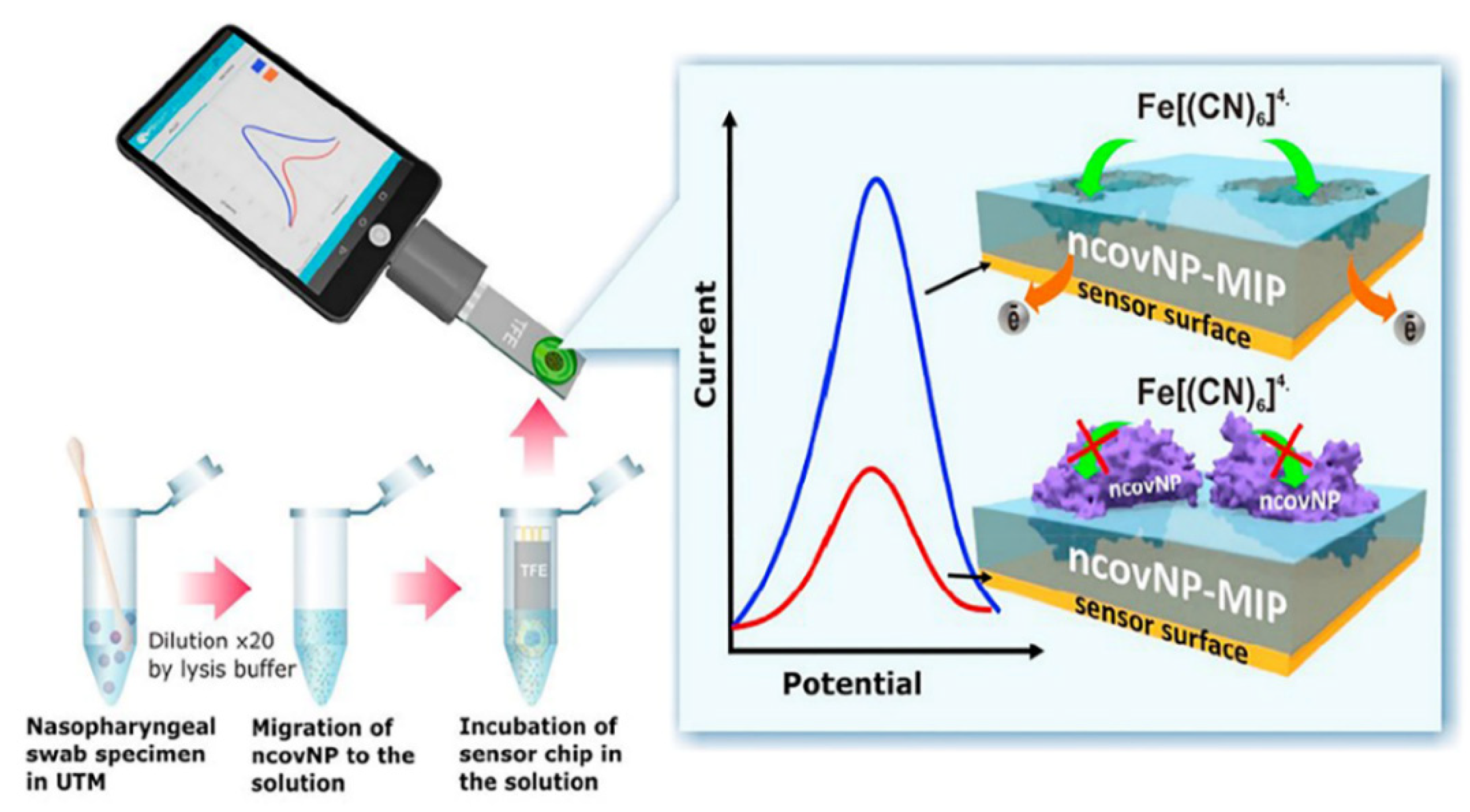Biosensors 13 00336 g011