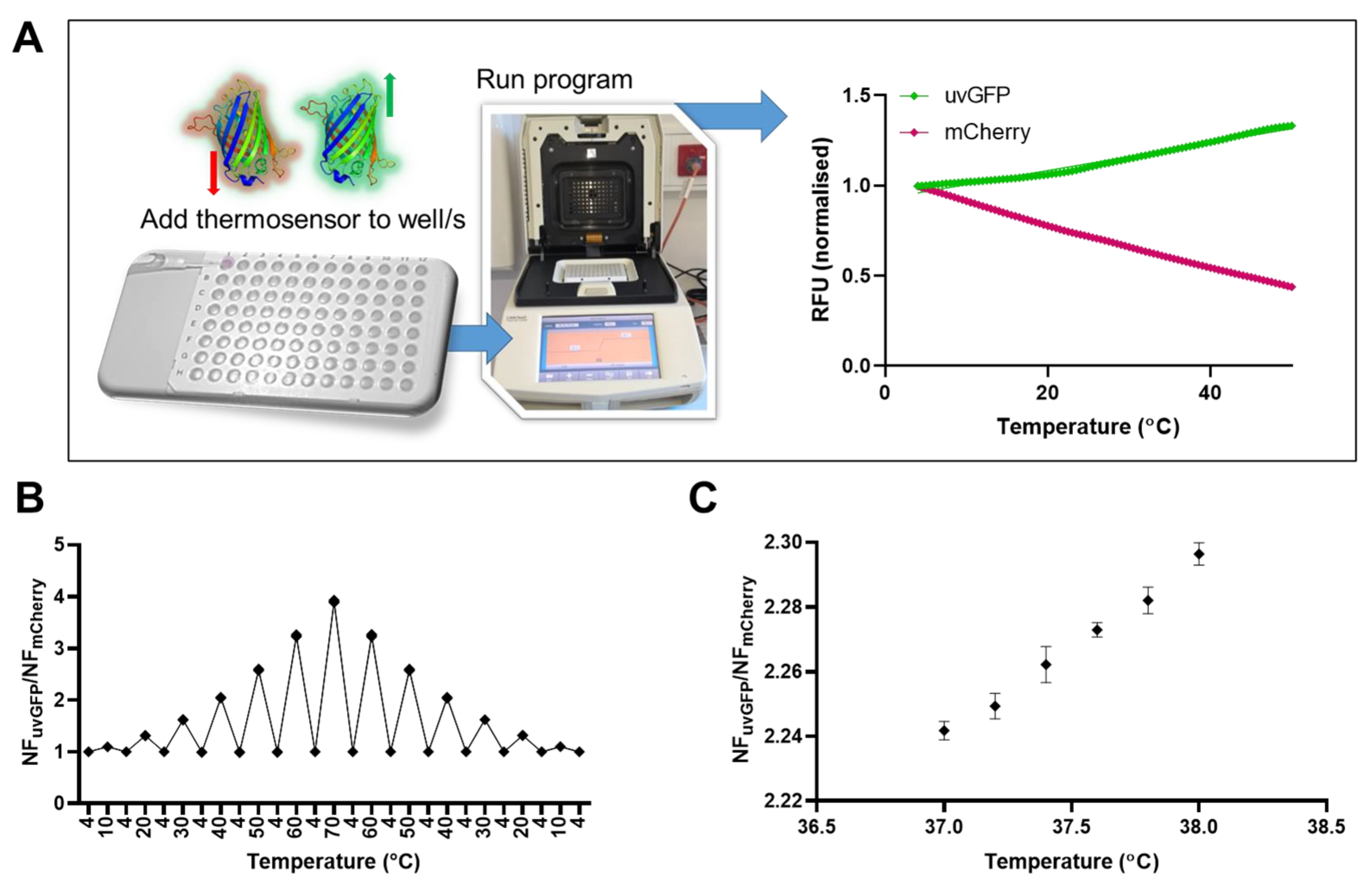 Biosensors 13 00338 g001 Biosensors 13 00338 g001
