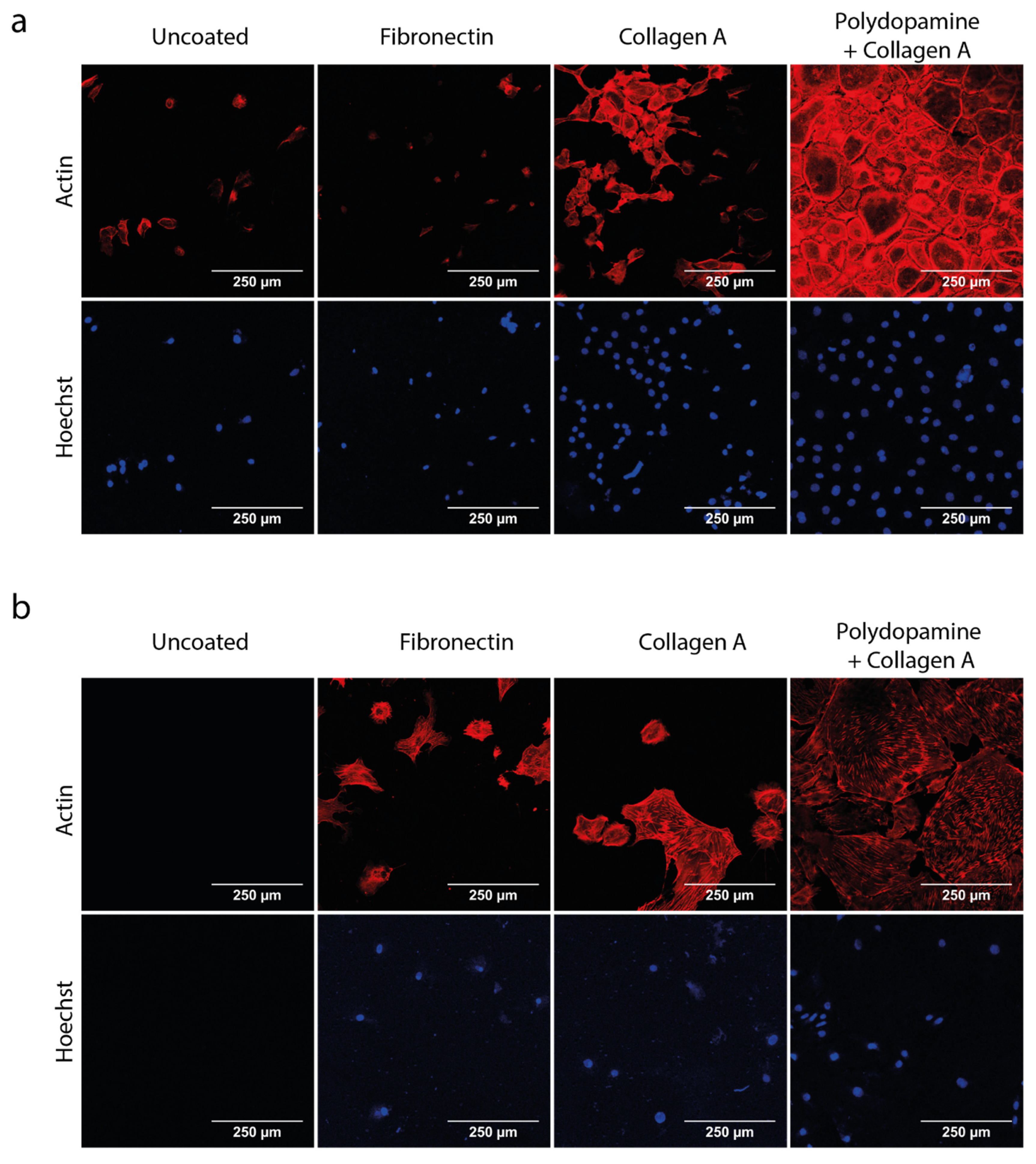 Biosensors 13 00339 g002