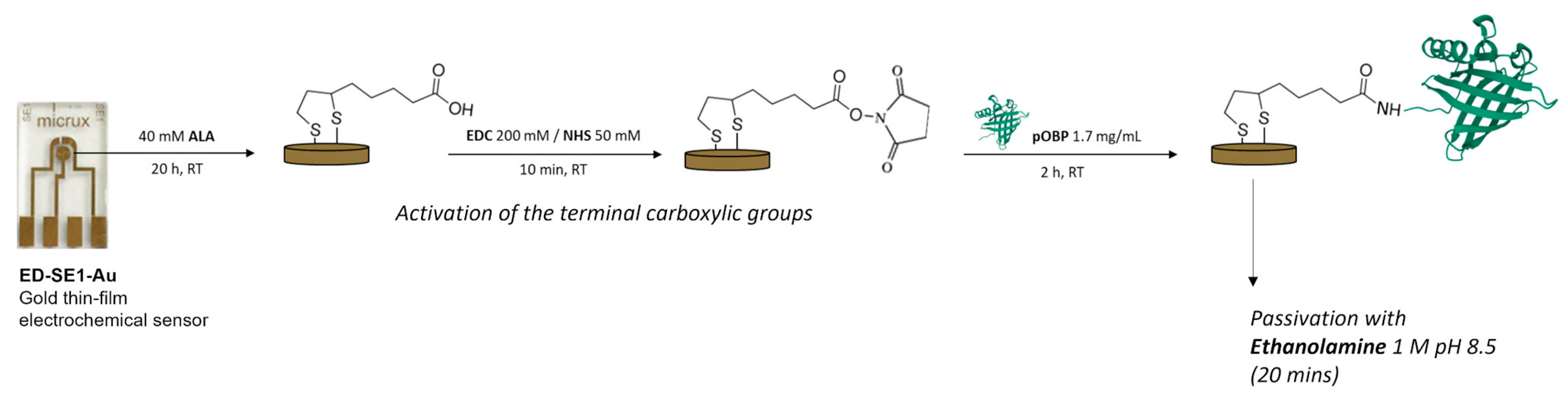 Biosensors 13 00341 g001